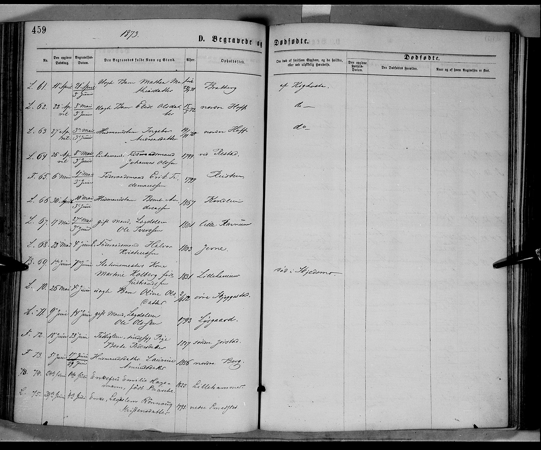 Fåberg prestekontor, AV/SAH-PREST-086/H/Ha/Haa/L0007: Ministerialbok nr. 7, 1868-1878, s. 459