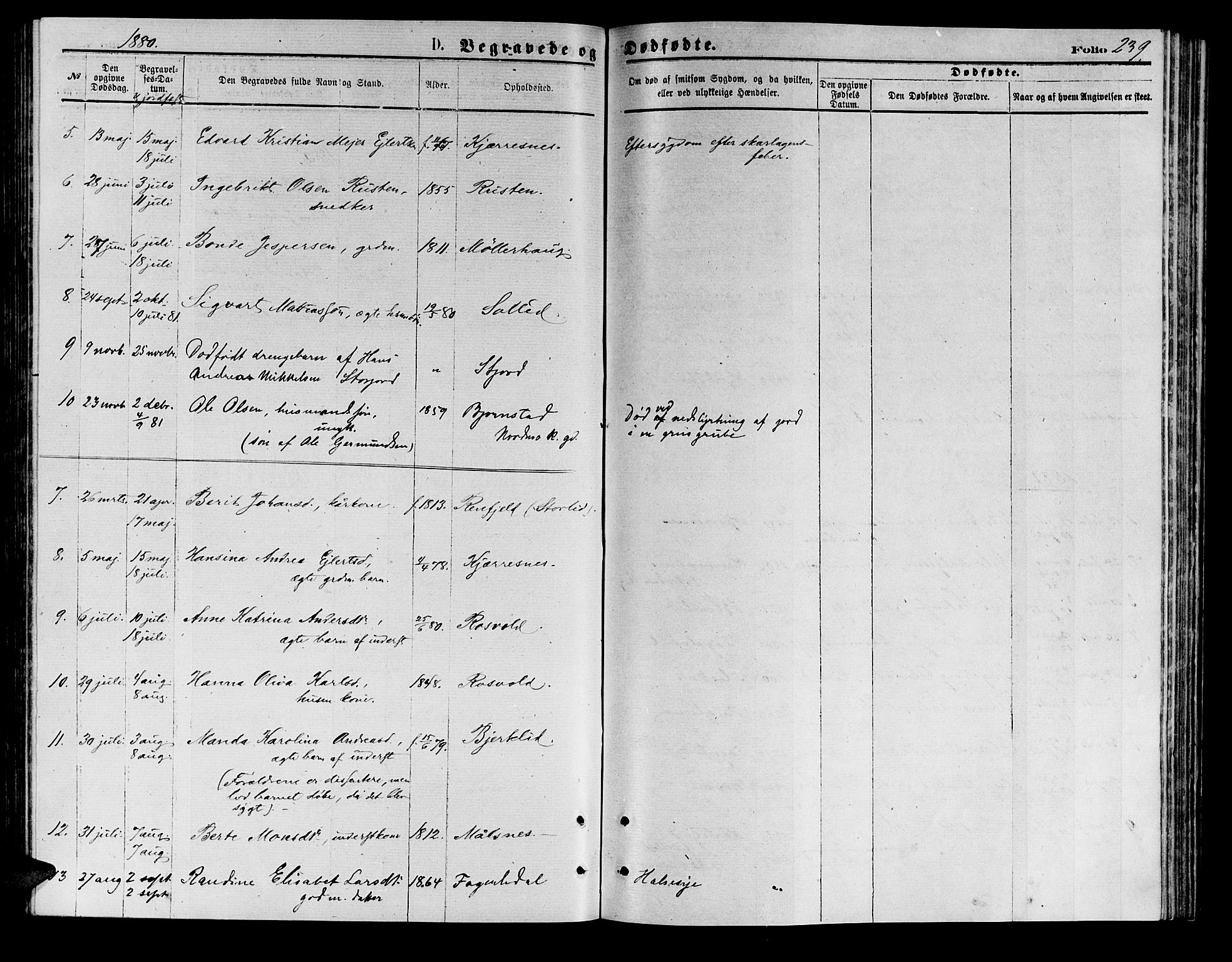 Målselv sokneprestembete, AV/SATØ-S-1311/G/Ga/Gab/L0003klokker: Klokkerbok nr. 3, 1874-1885, s. 239