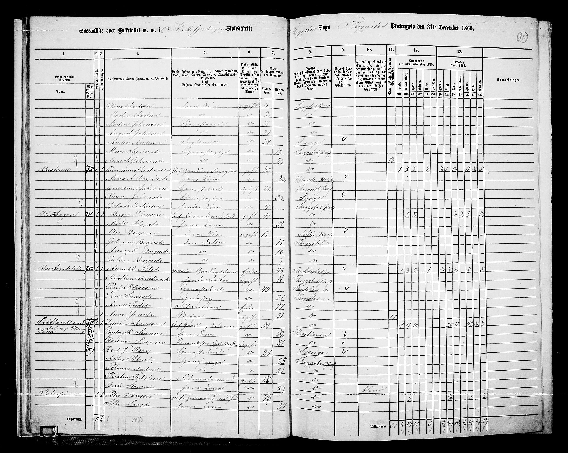 RA, Folketelling 1865 for 0122P Trøgstad prestegjeld, 1865, s. 24