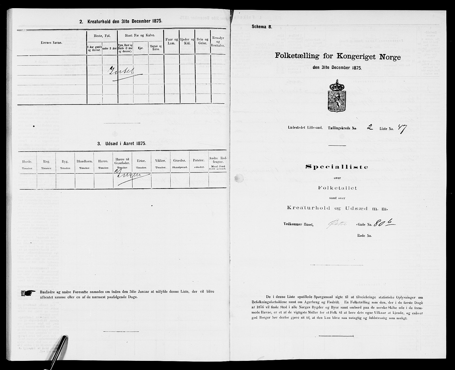 SAK, Folketelling 1875 for 0905B Vestre Moland prestegjeld, Lillesand ladested, 1875, s. 200