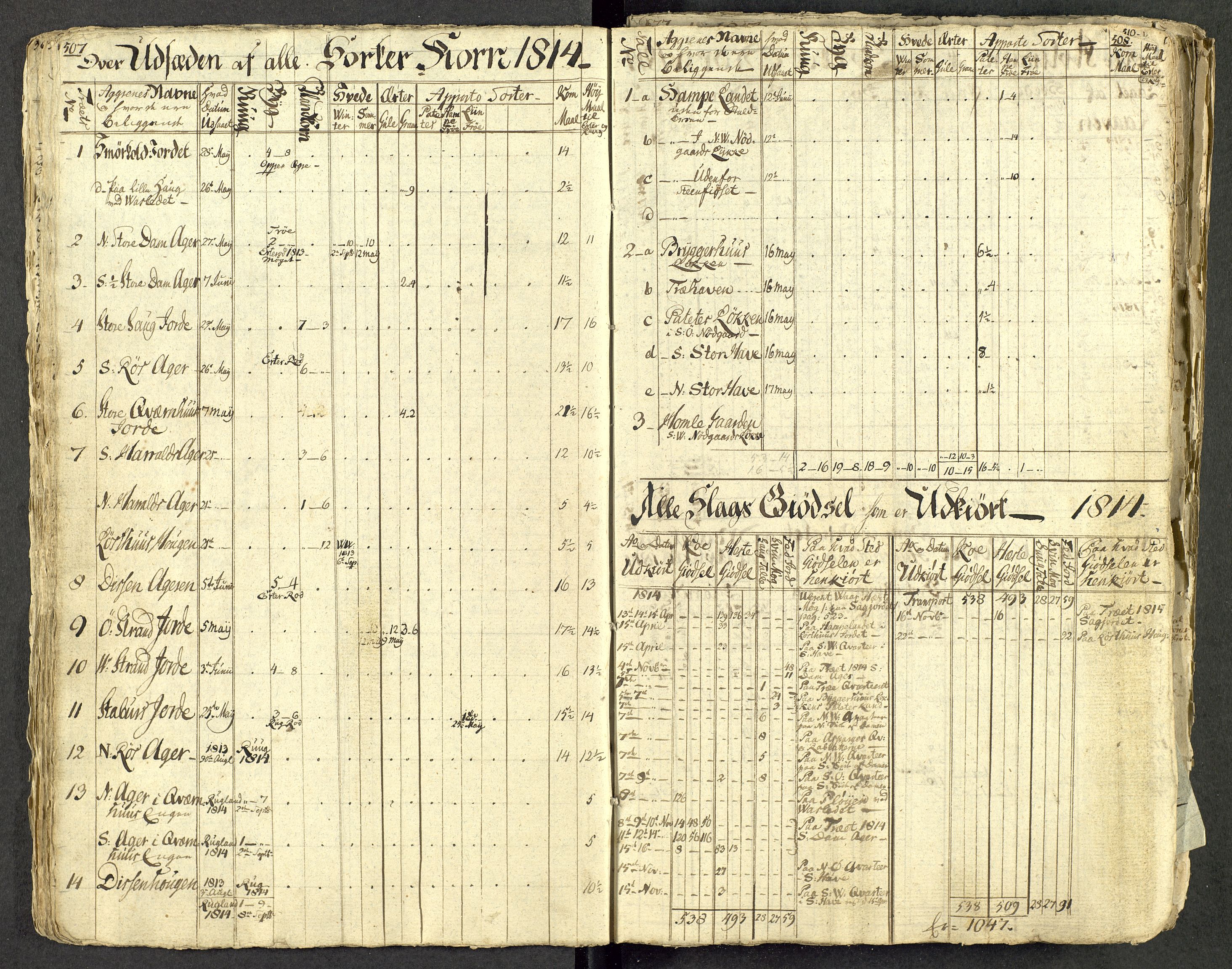 Åker i Vang, Hedmark, og familien Todderud, AV/SAH-ARK-010/G/Ga/L0004/0001: Dagbøker / Dagbok, 1812-1825, s. 21