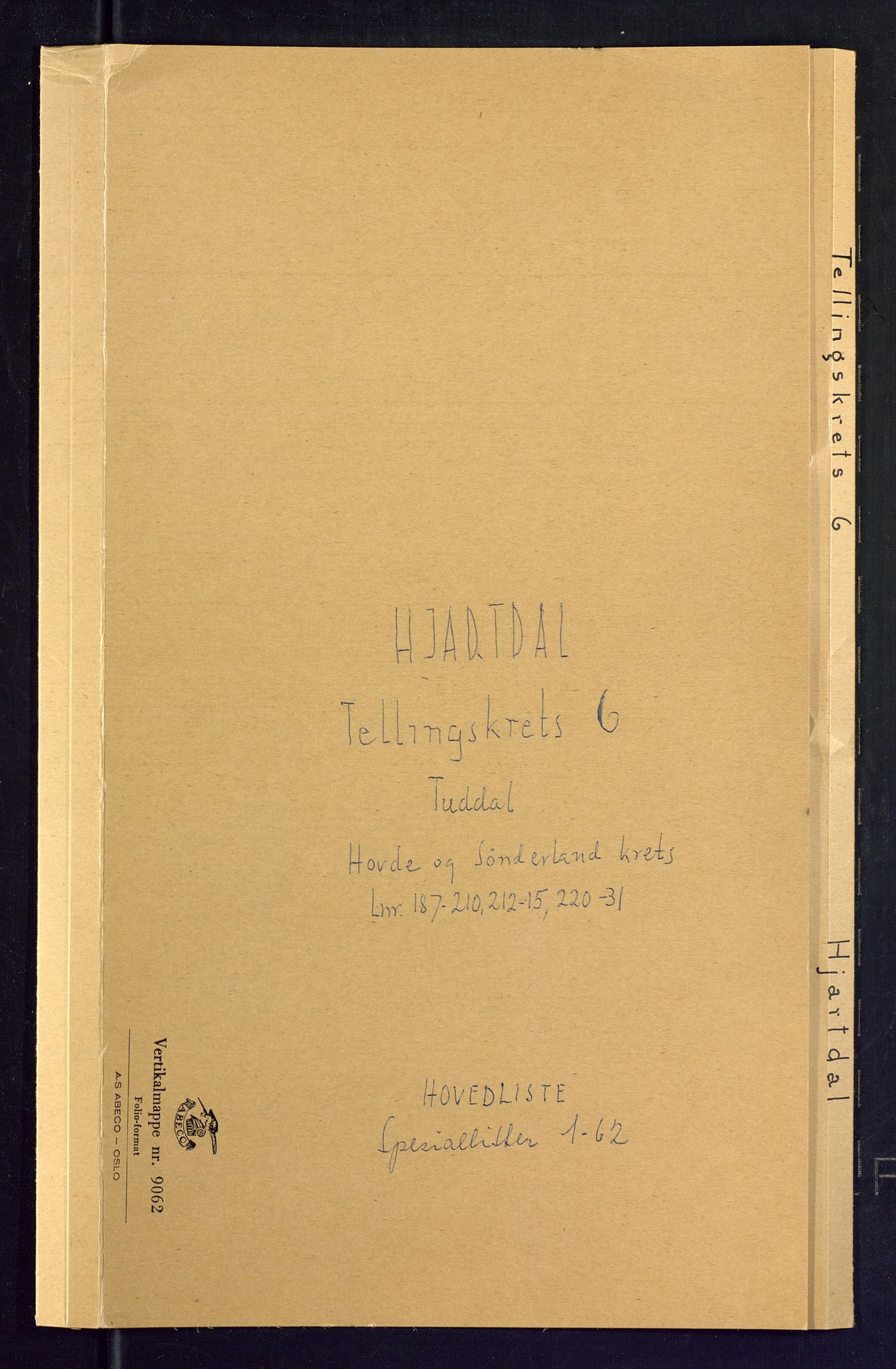 SAKO, Folketelling 1875 for 0827P Hjartdal prestegjeld, 1875, s. 21