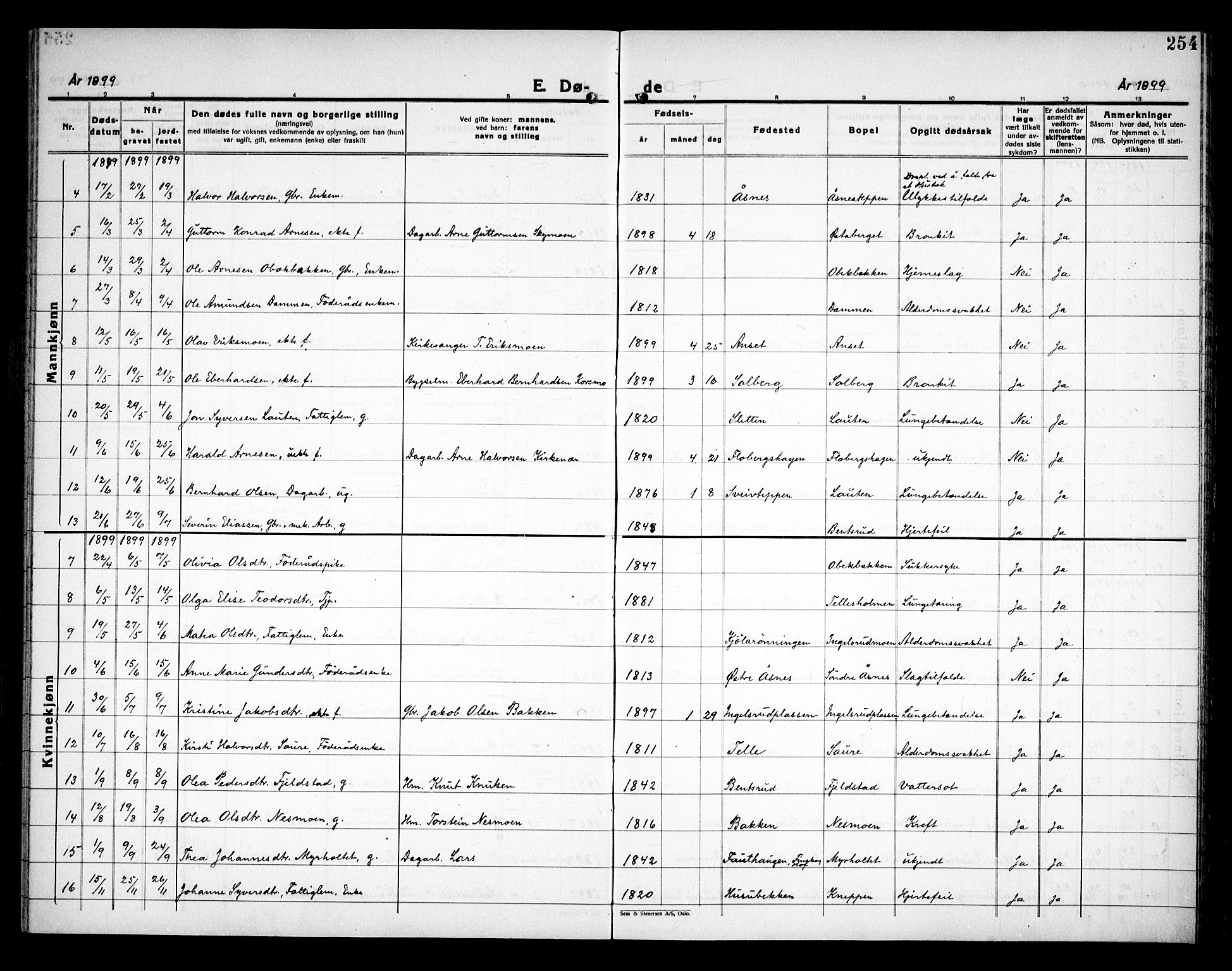 Åsnes prestekontor, SAH/PREST-042/H/Ha/Haa/L0000C: Ministerialbok nr. 0A, 1890-1929, s. 254