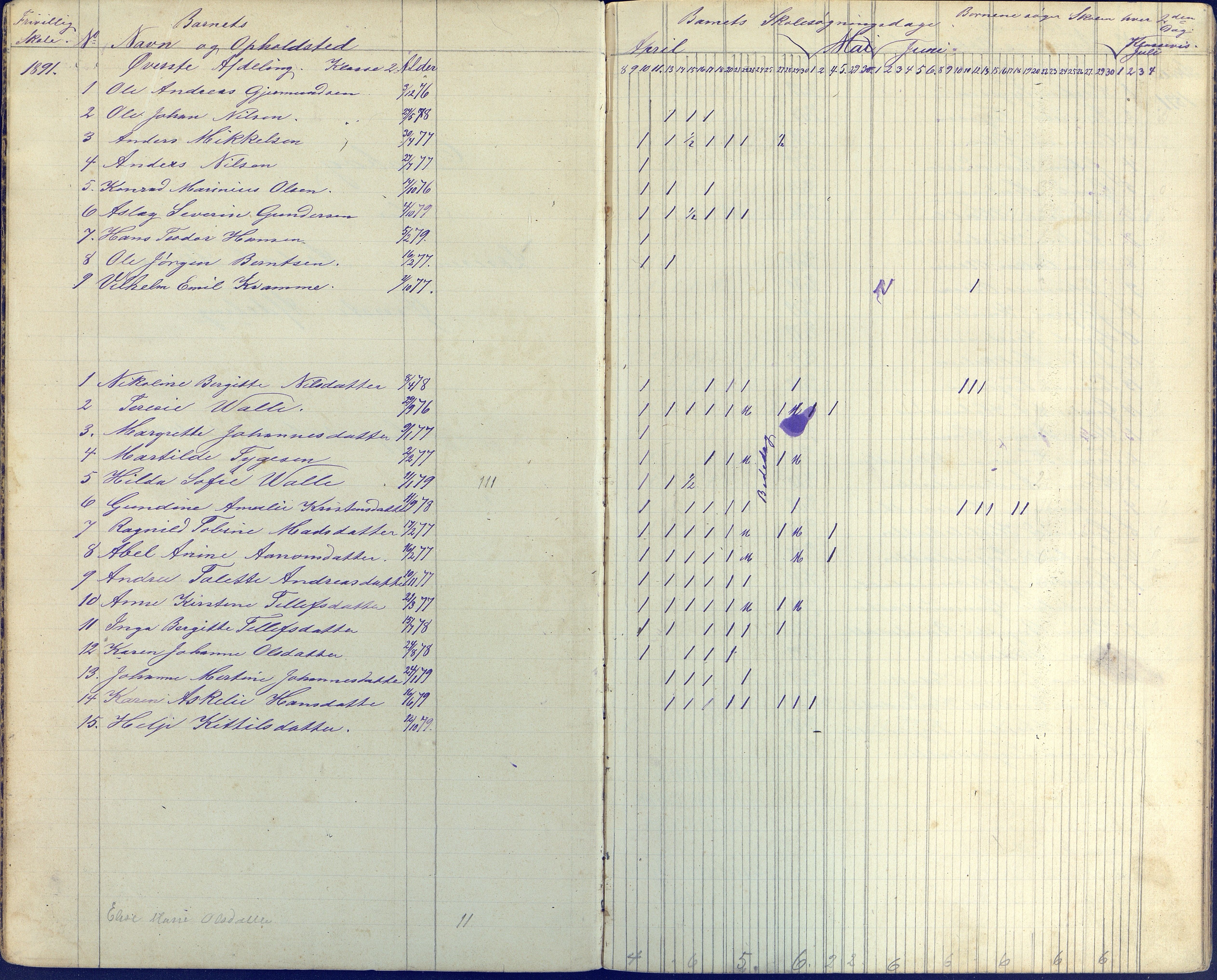 Øyestad kommune frem til 1979, AAKS/KA0920-PK/06/06E/L0006: Dagbok, 1891-1900