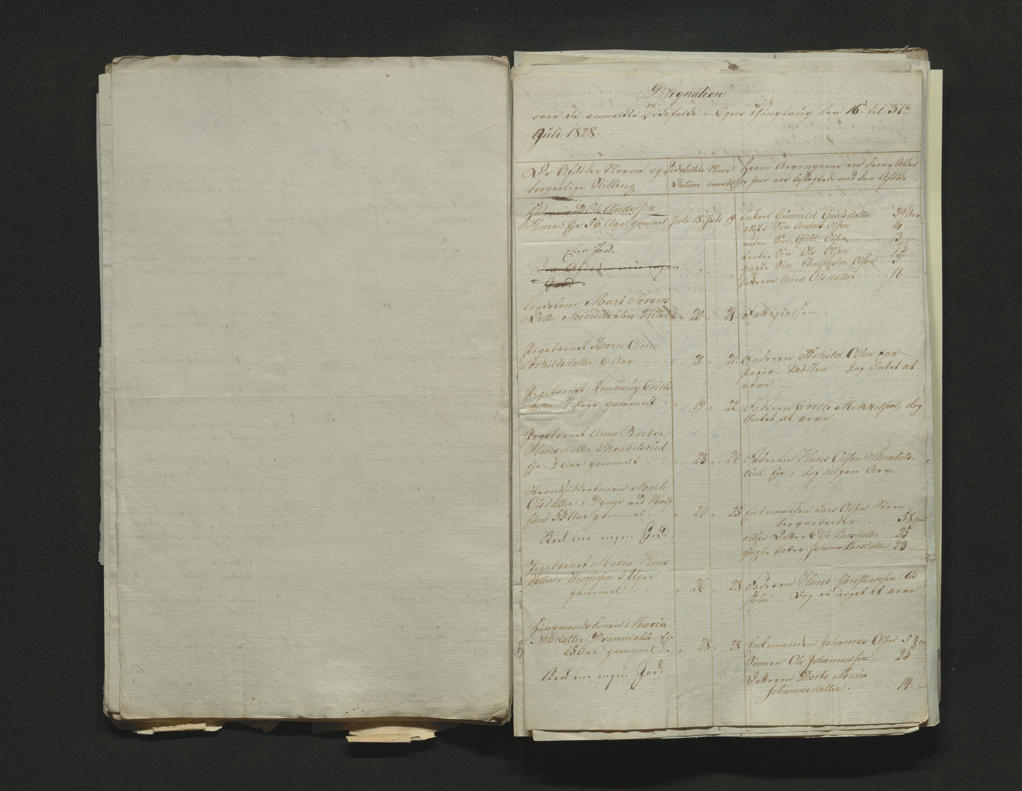 Eiker, Modum og Sigdal sorenskriveri, AV/SAKO-A-123/H/Ha/Hab/L0002: Dødsfallsmeldinger, 1823-1829, s. 258