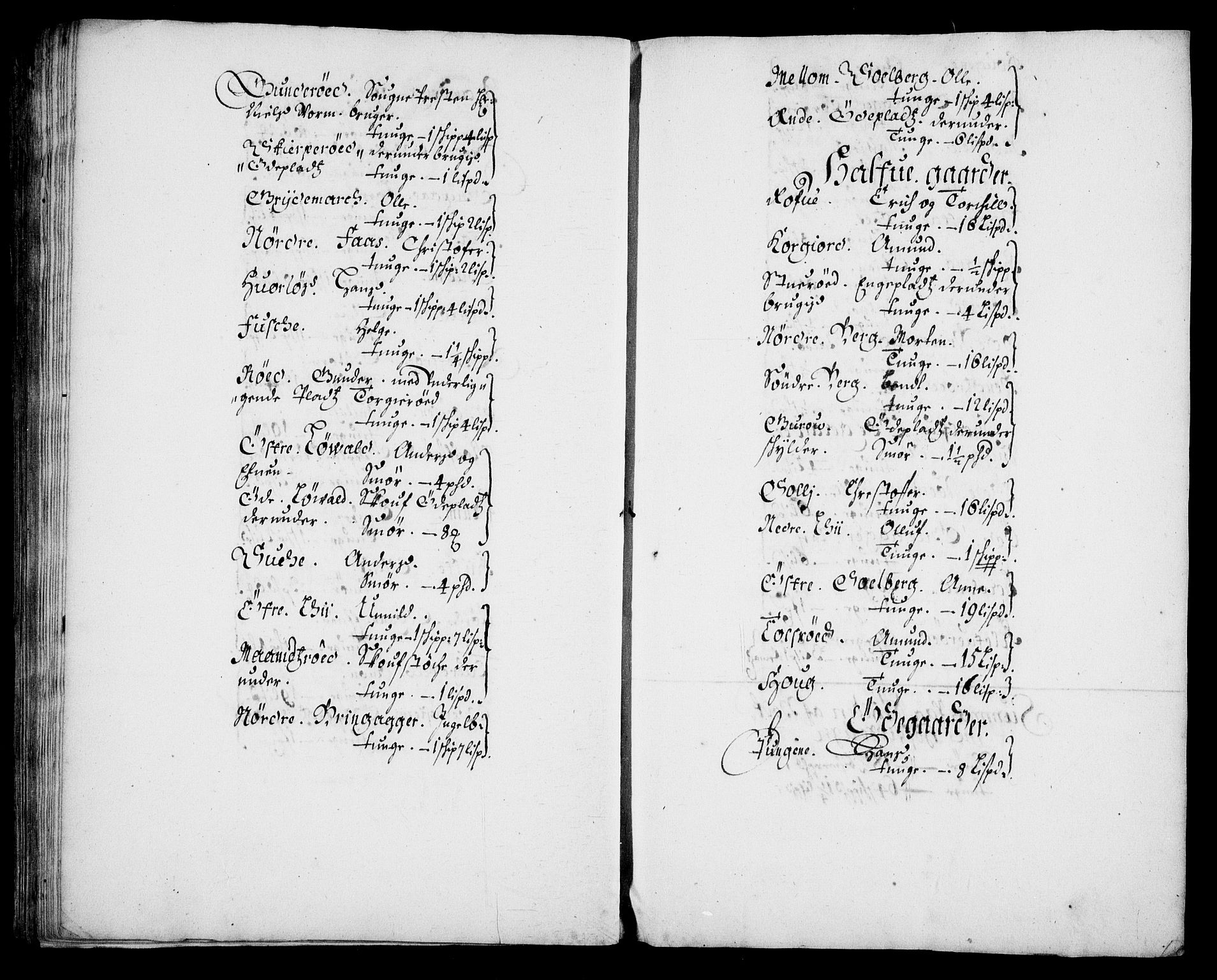 Rentekammeret inntil 1814, Realistisk ordnet avdeling, AV/RA-EA-4070/N/Na/L0003/0003: [XI h]: Tønsbergs amt og Larvik grevskaps jordebøker: / (C) Smør- og kjøttskatt, inkludert Griffenfelds gods i Larvik grevskap, 1674
