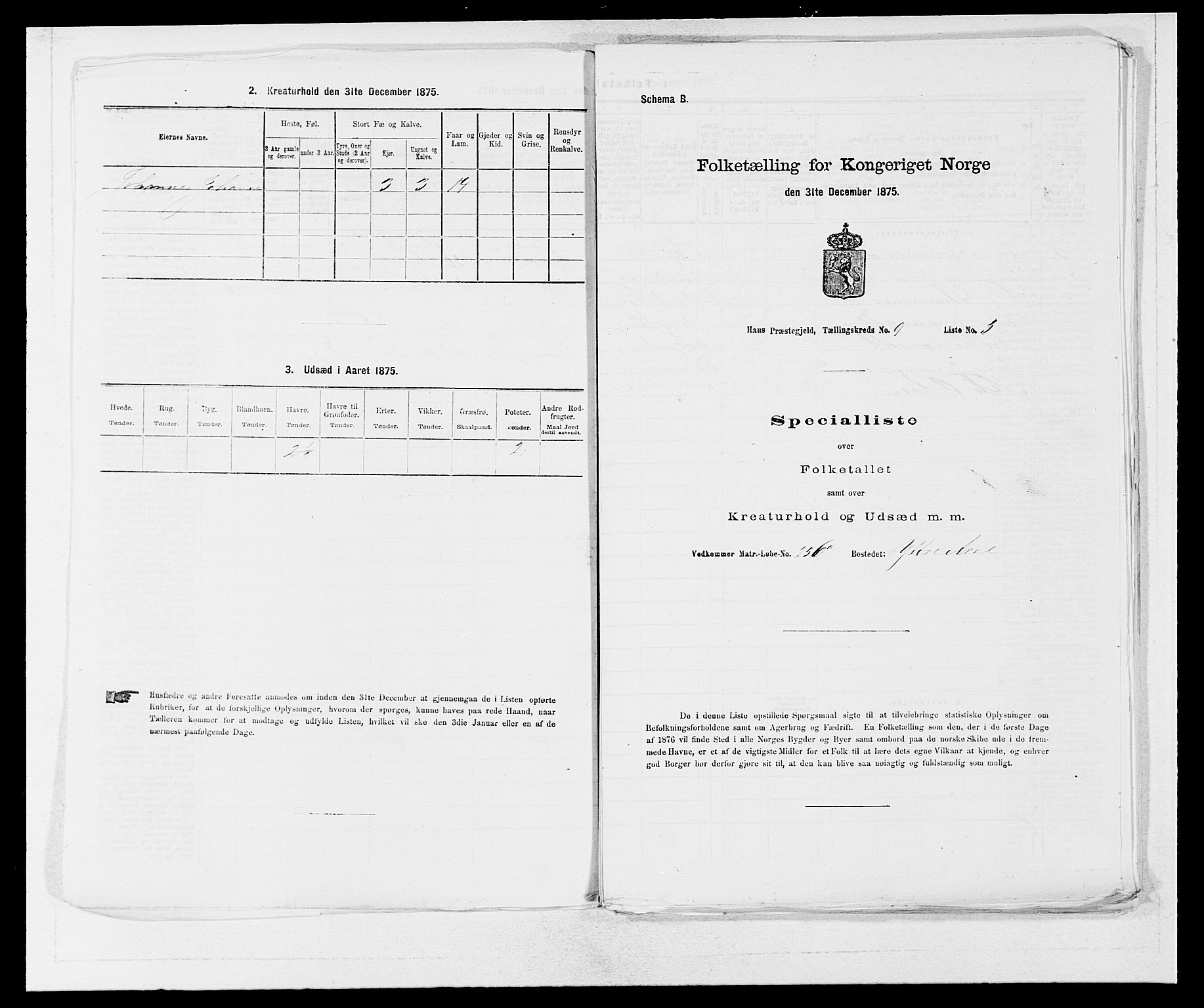 SAB, Folketelling 1875 for 1250P Haus prestegjeld, 1875, s. 990