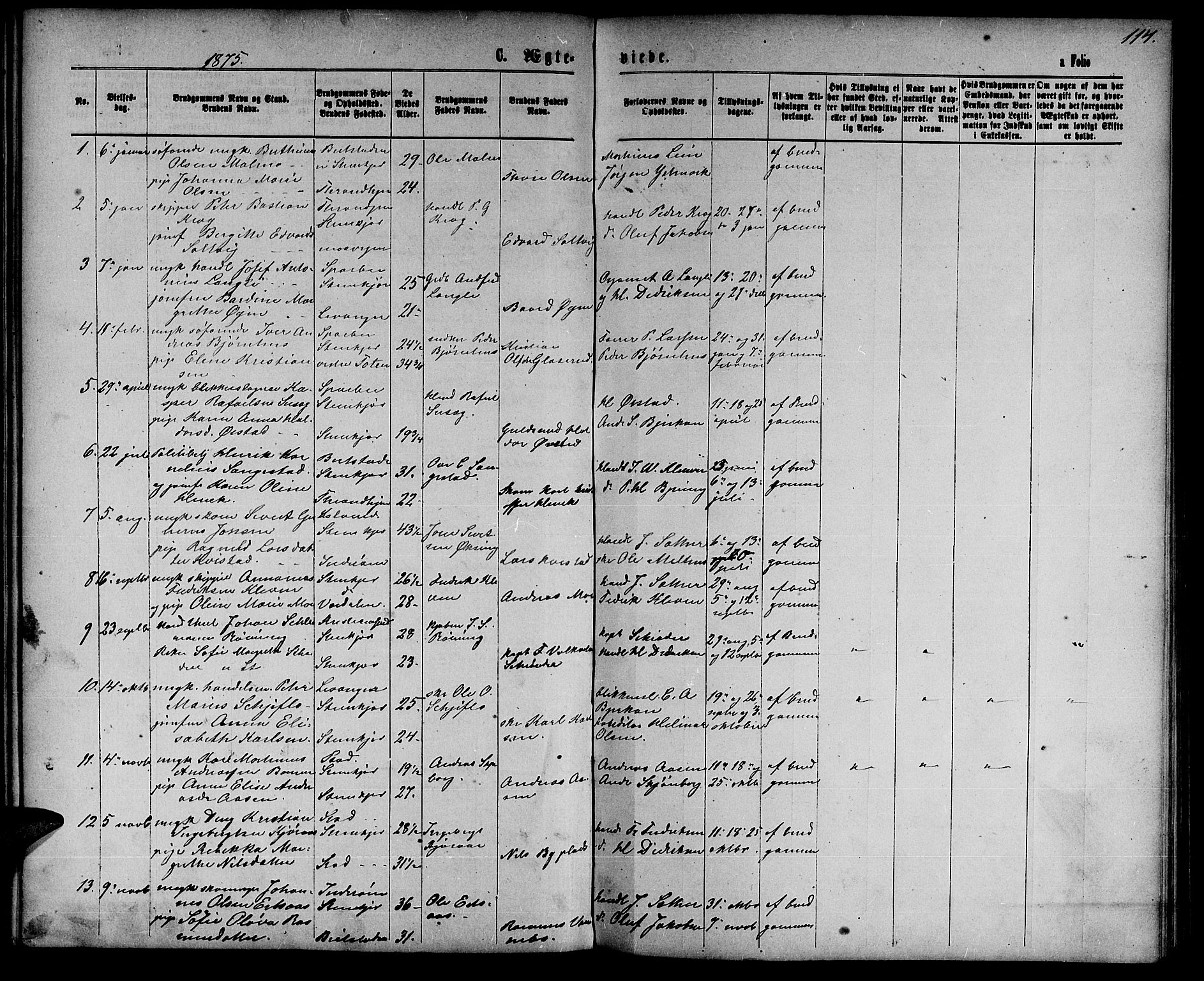 Ministerialprotokoller, klokkerbøker og fødselsregistre - Nord-Trøndelag, SAT/A-1458/739/L0373: Klokkerbok nr. 739C01, 1865-1882, s. 114