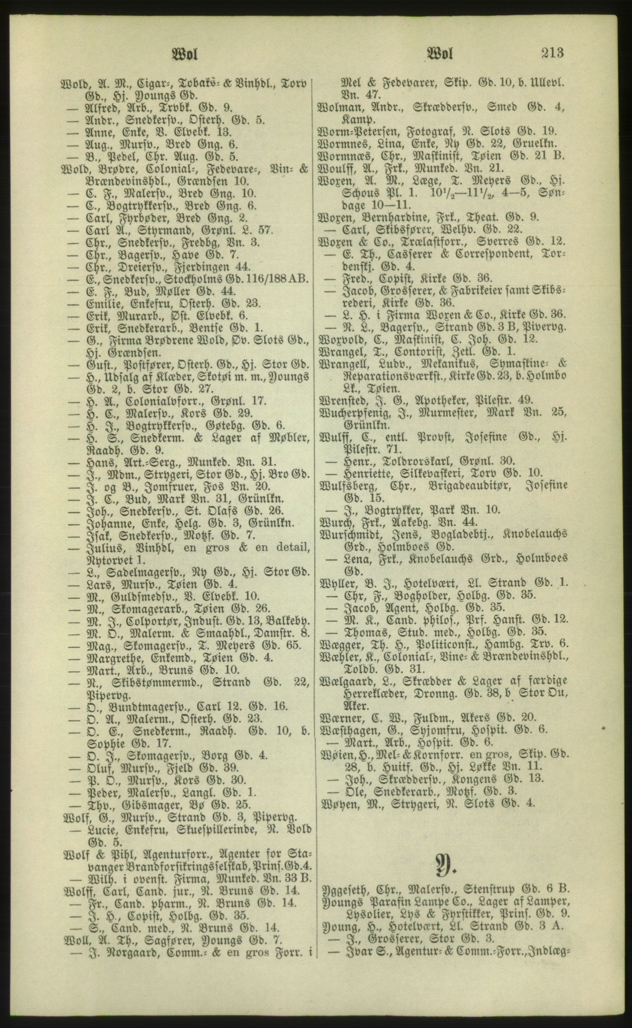 Kristiania/Oslo adressebok, PUBL/-, 1881, s. 213