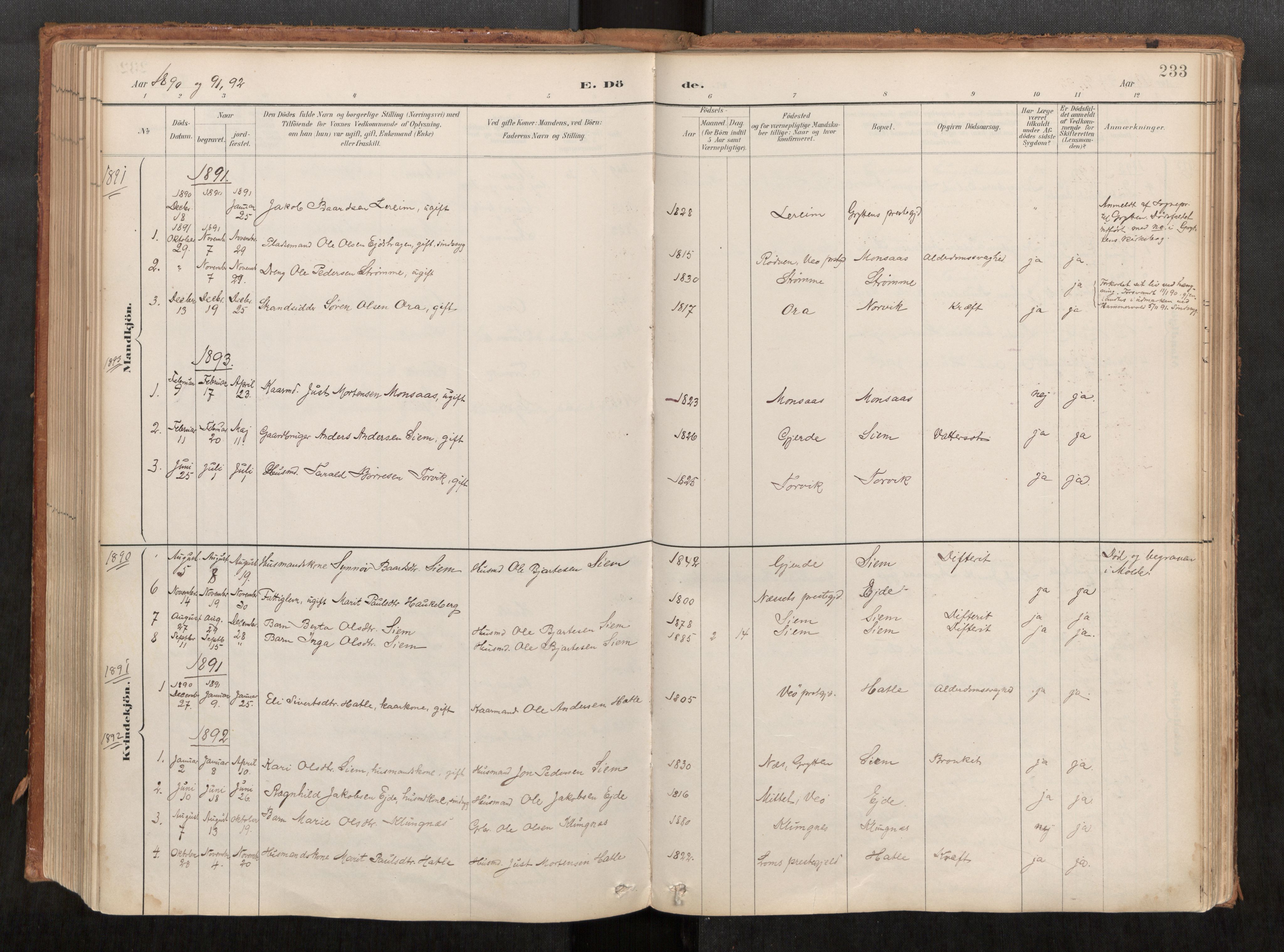 Ministerialprotokoller, klokkerbøker og fødselsregistre - Møre og Romsdal, AV/SAT-A-1454/542/L0553: Ministerialbok nr. 542A03, 1885-1925, s. 233