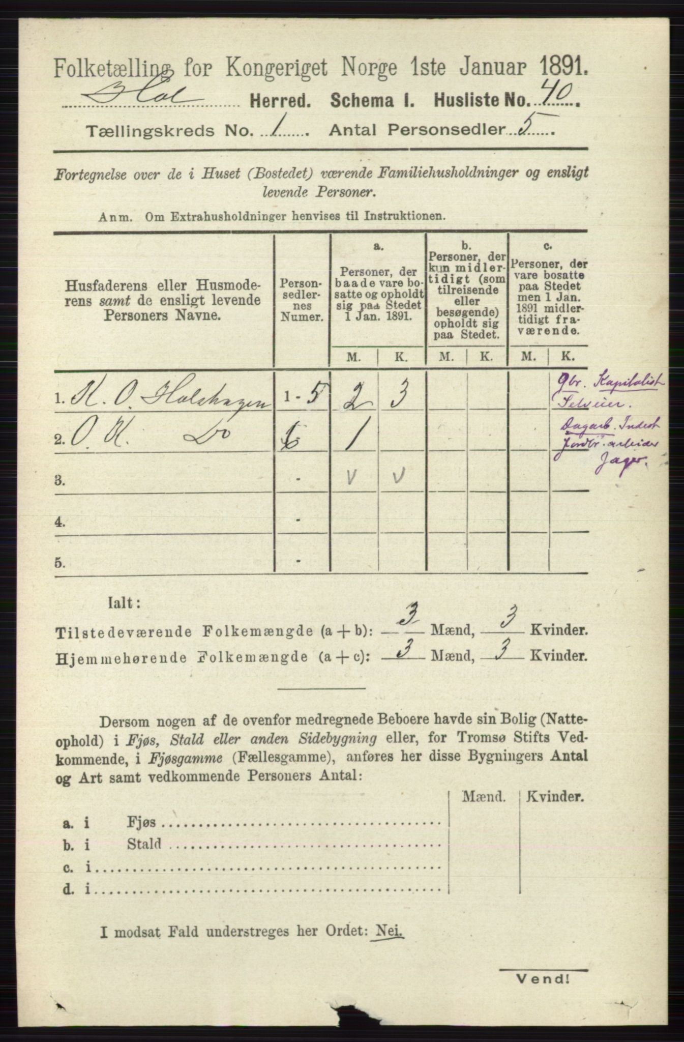 RA, Folketelling 1891 for 0620 Hol herred, 1891, s. 66