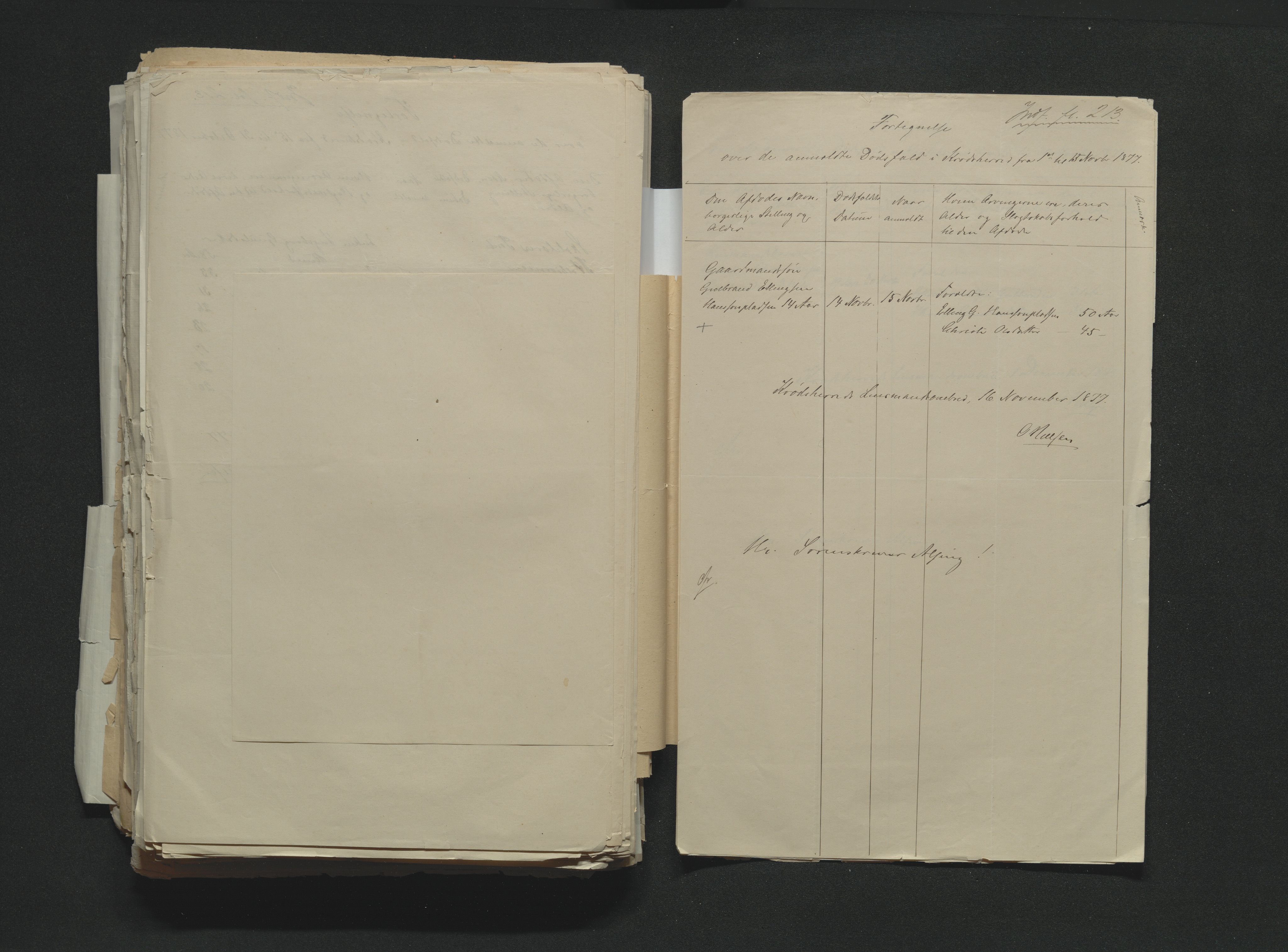 Eiker, Modum og Sigdal sorenskriveri, AV/SAKO-A-123/H/Ha/Hab/L0014: Dødsfallsmeldinger, 1874-1877, s. 751