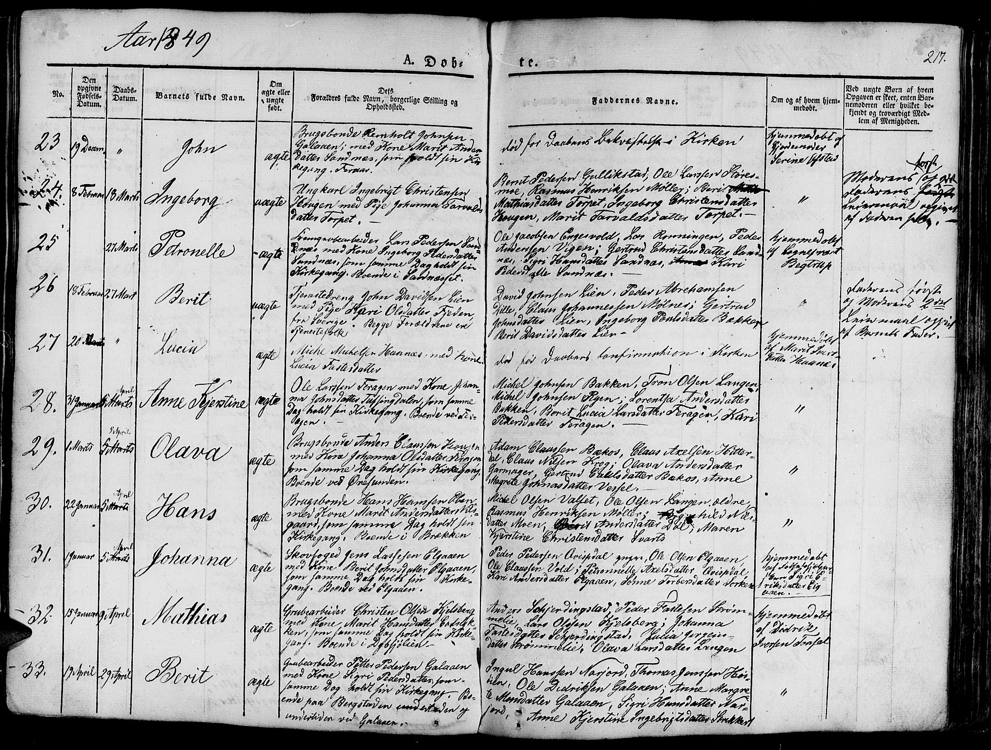 Ministerialprotokoller, klokkerbøker og fødselsregistre - Sør-Trøndelag, AV/SAT-A-1456/681/L0938: Klokkerbok nr. 681C02, 1829-1879, s. 217