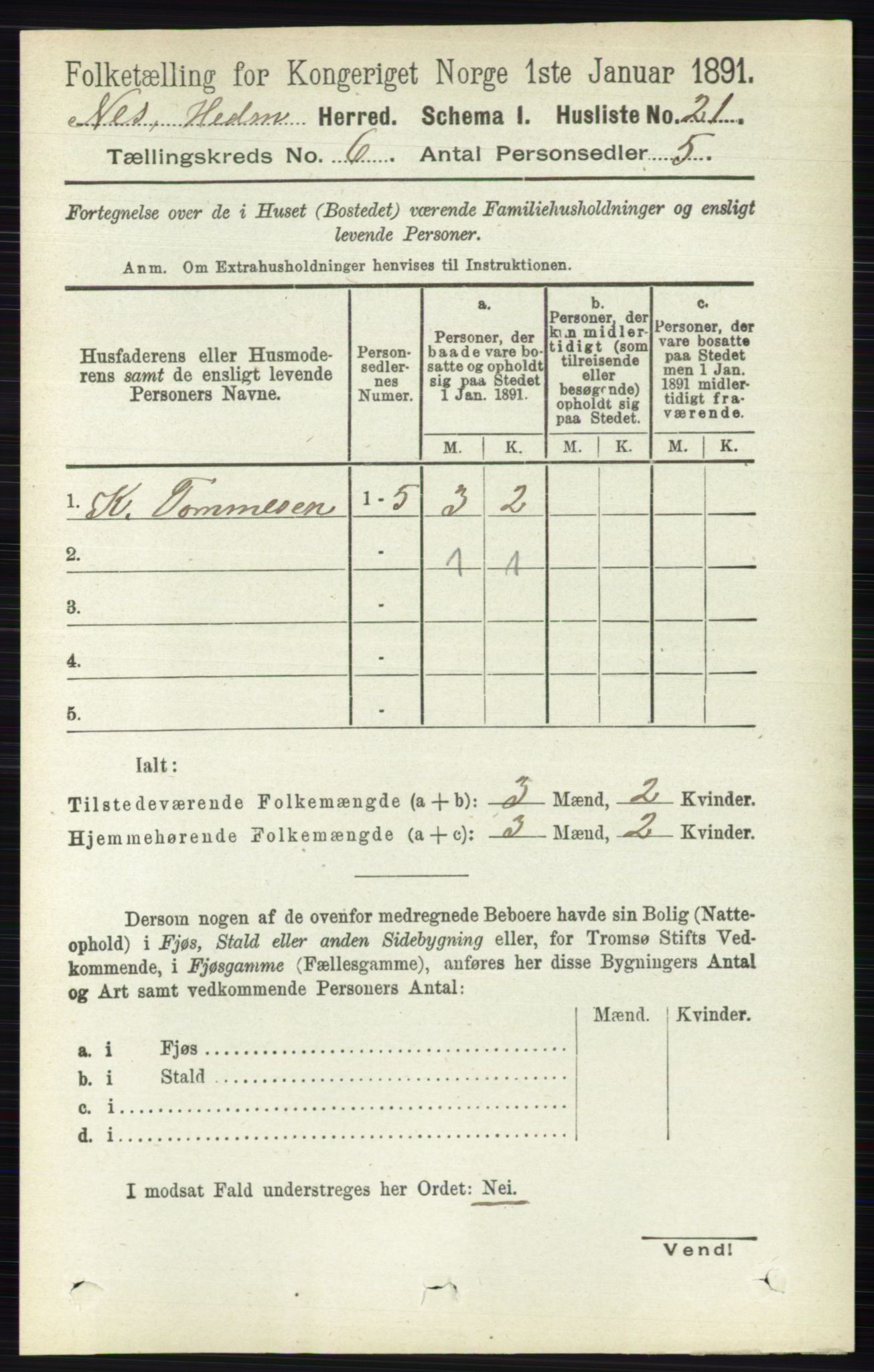 RA, Folketelling 1891 for 0411 Nes herred, 1891, s. 3189