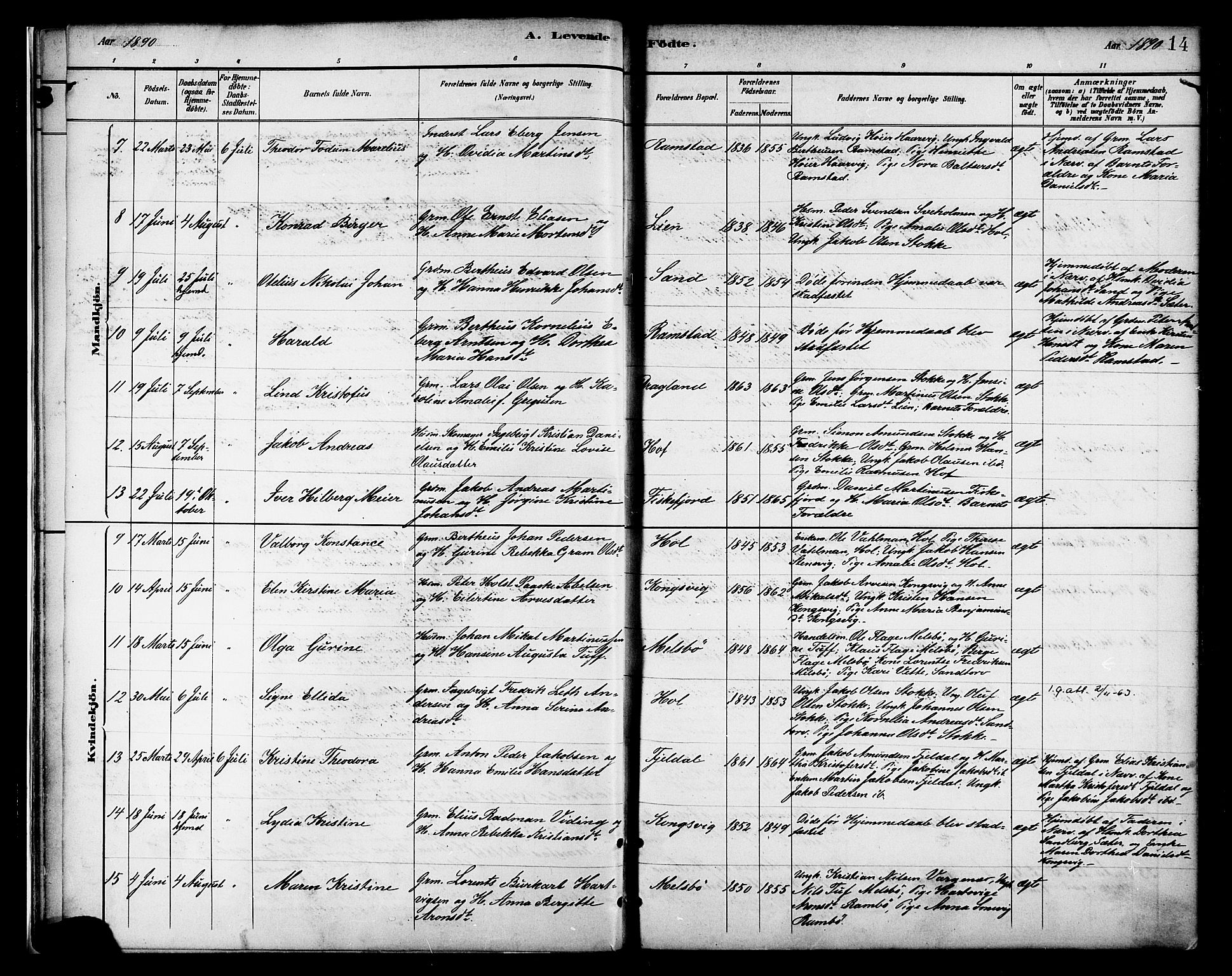 Ministerialprotokoller, klokkerbøker og fødselsregistre - Nordland, AV/SAT-A-1459/865/L0924: Ministerialbok nr. 865A02, 1885-1896, s. 14