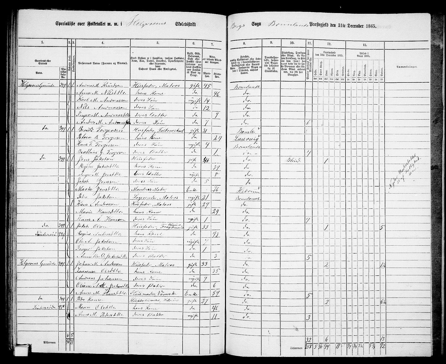RA, Folketelling 1865 for 0726P Brunlanes prestegjeld, 1865, s. 168