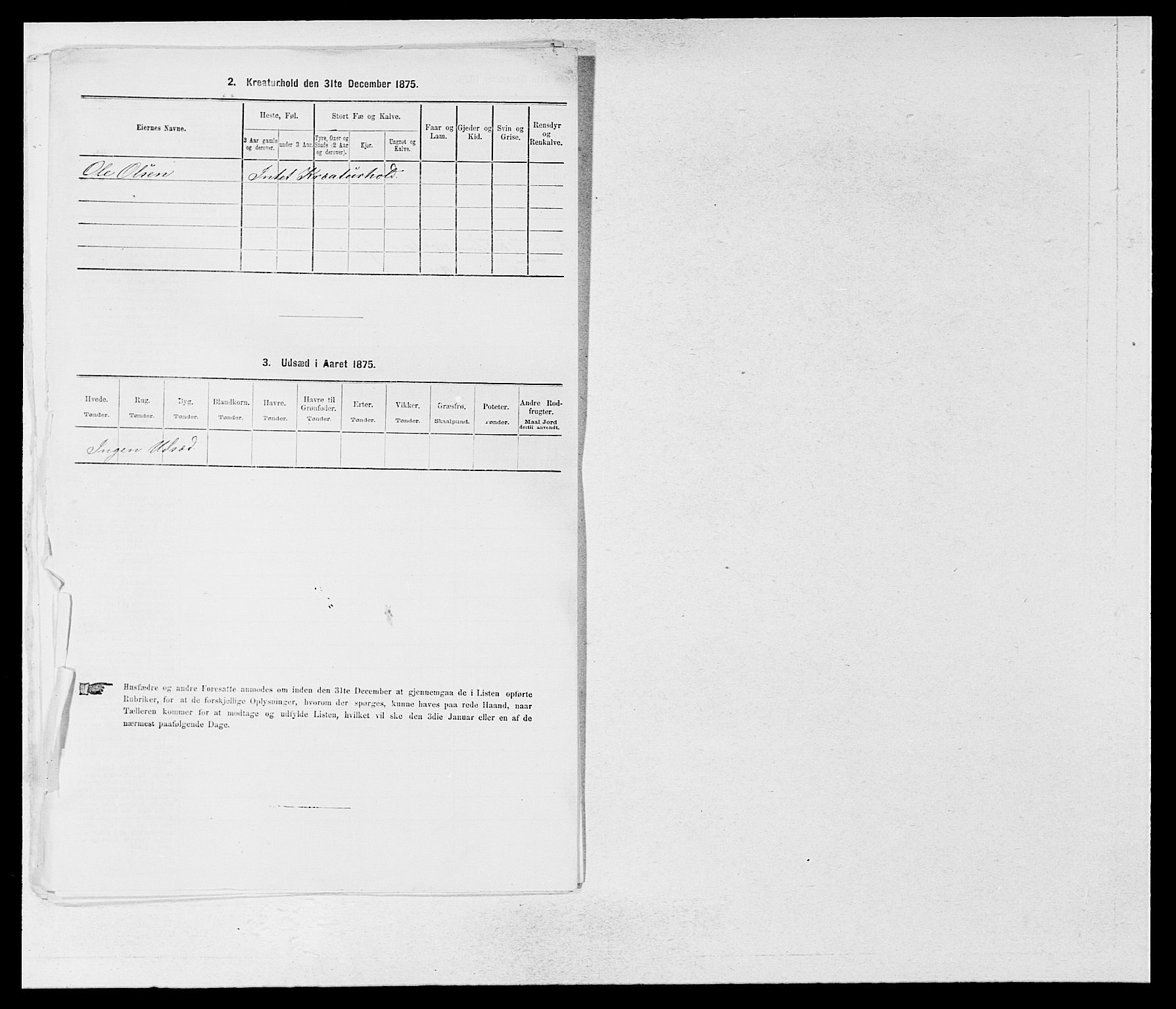 SAB, Folketelling 1875 for 1426P Luster prestegjeld, 1875, s. 697