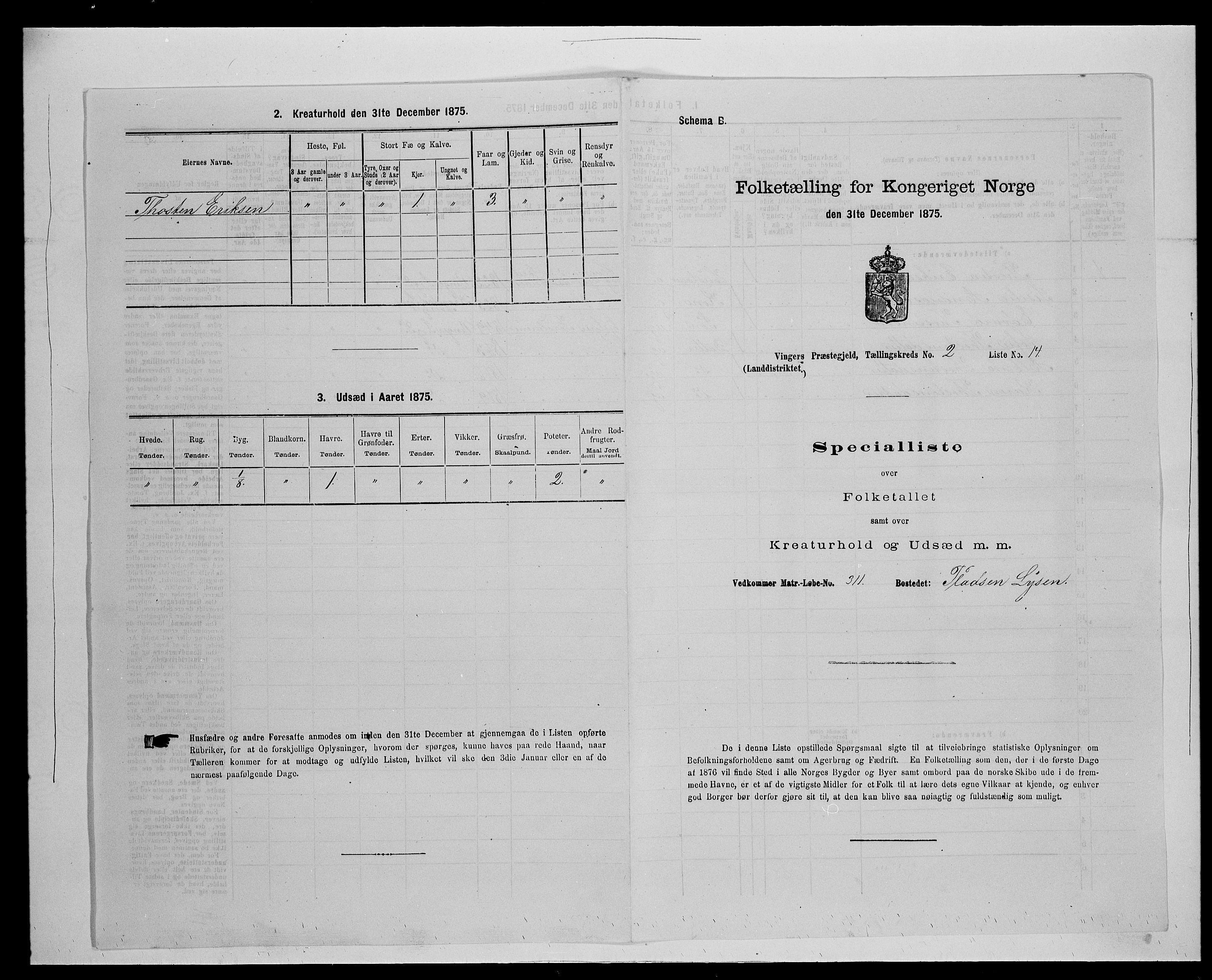 SAH, Folketelling 1875 for 0421L Vinger prestegjeld, Vinger sokn og Austmarka sokn, 1875, s. 243