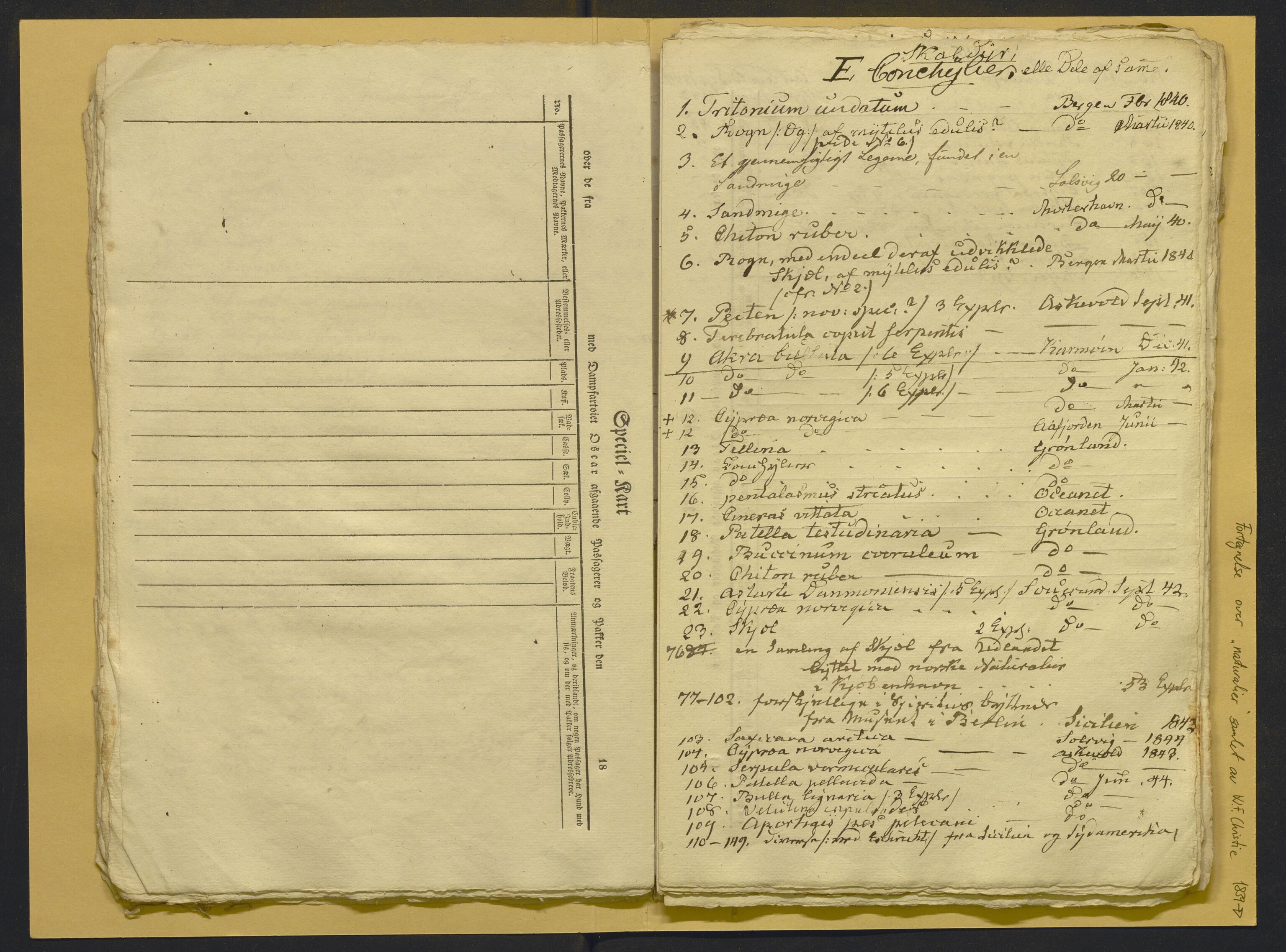 Bergens Museum, AV/SAB-A-17301/02/F/L0001: Kataloger over gjenstander og pergamentbrev , 1825-1880, s. 539