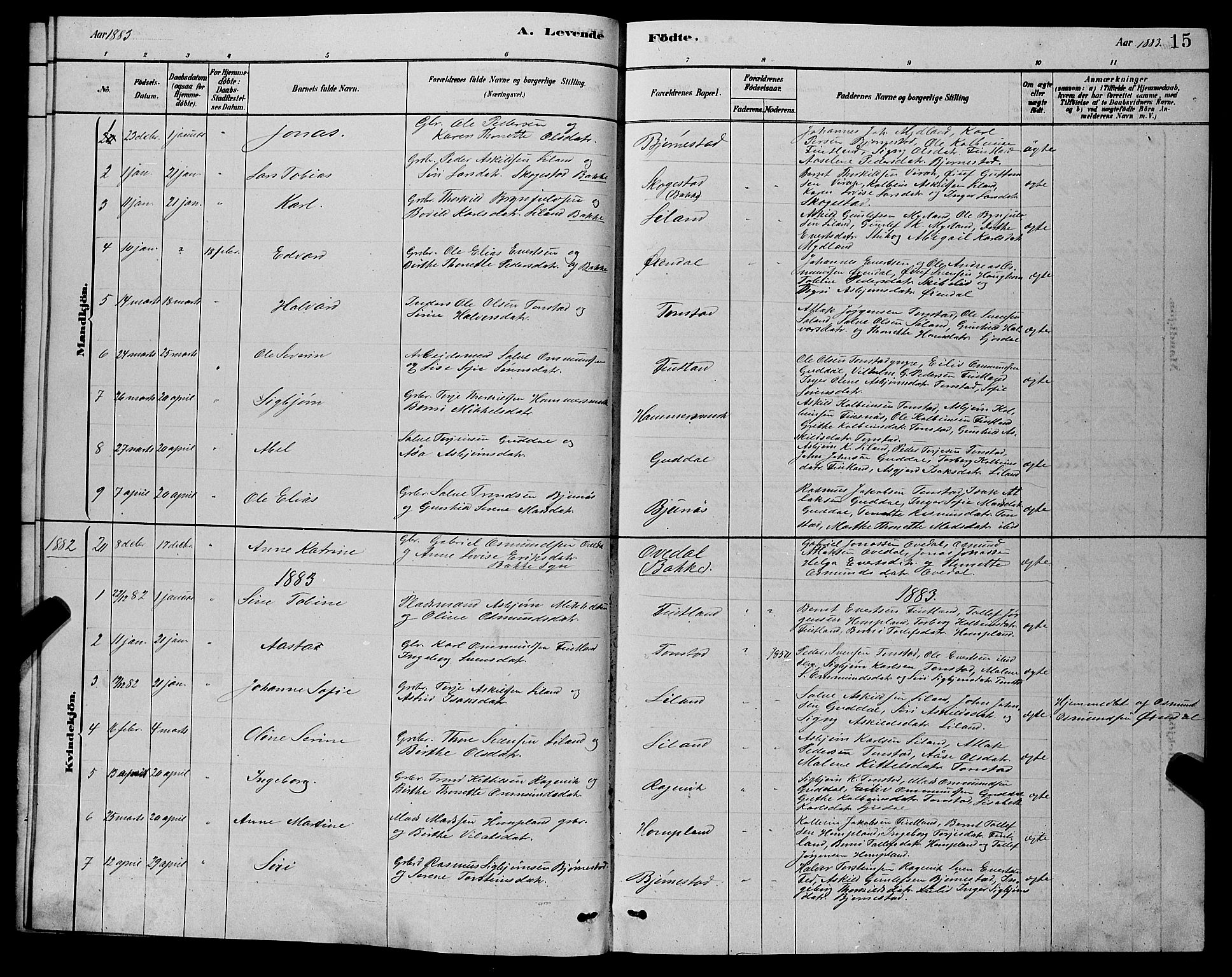 Sirdal sokneprestkontor, AV/SAK-1111-0036/F/Fb/Fbb/L0003: Klokkerbok nr. B 3, 1878-1894, s. 15