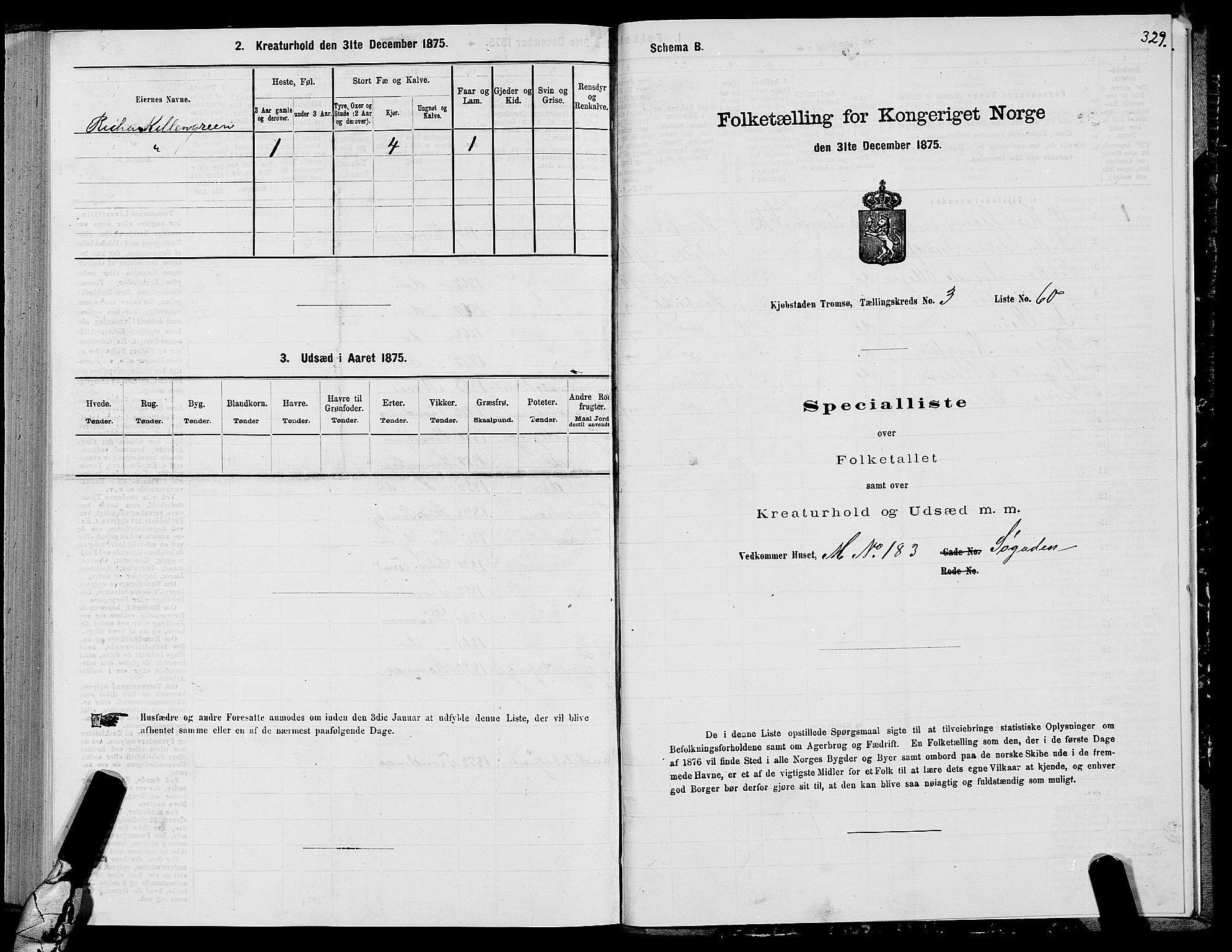 SATØ, Folketelling 1875 for 1902P Tromsø prestegjeld, 1875, s. 2329