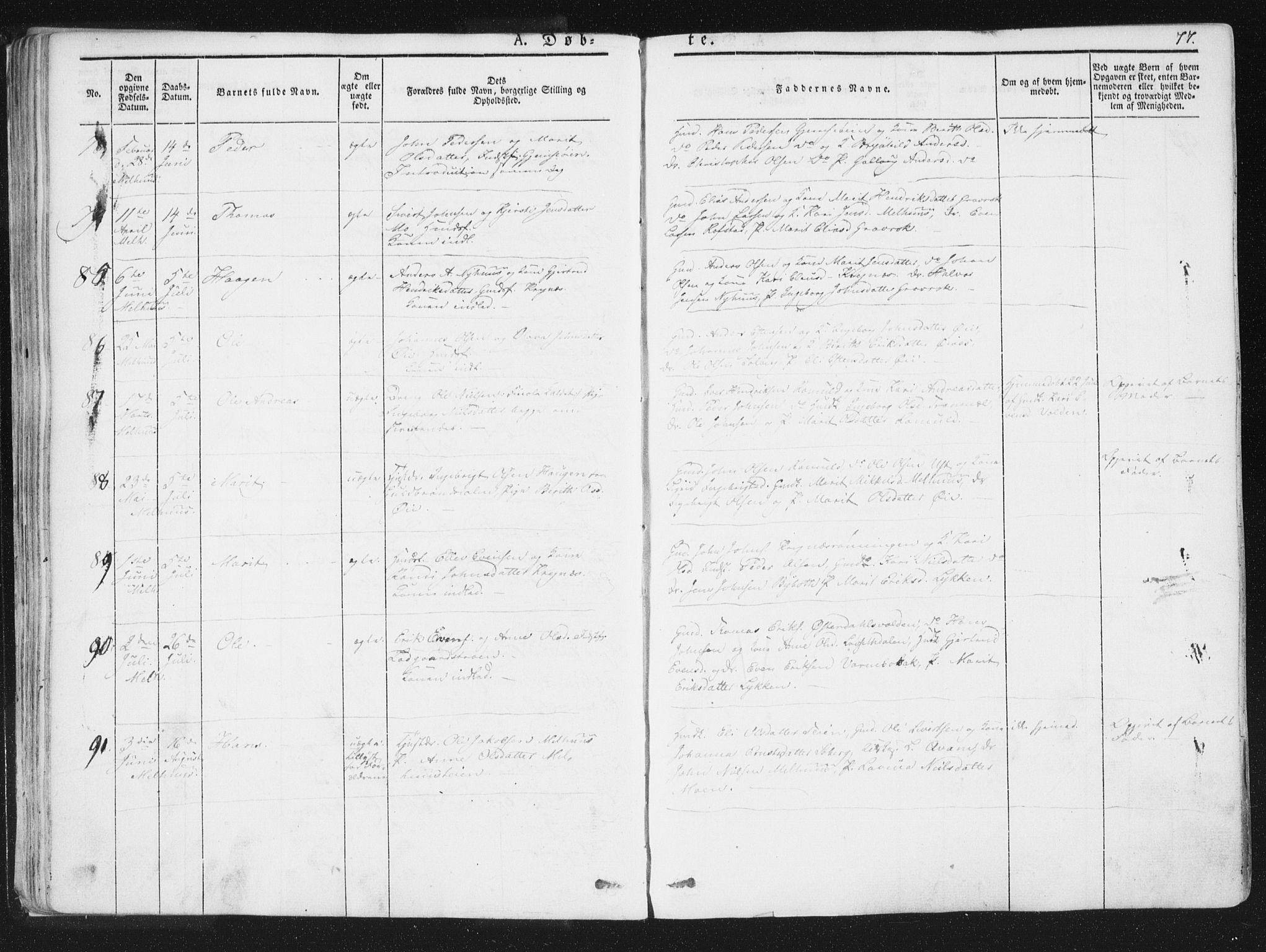 Ministerialprotokoller, klokkerbøker og fødselsregistre - Sør-Trøndelag, SAT/A-1456/691/L1074: Ministerialbok nr. 691A06, 1842-1852, s. 77