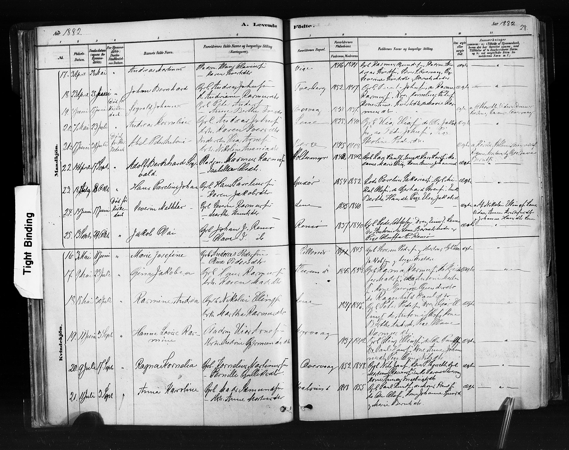Ministerialprotokoller, klokkerbøker og fødselsregistre - Møre og Romsdal, AV/SAT-A-1454/507/L0073: Ministerialbok nr. 507A08, 1878-1904, s. 28