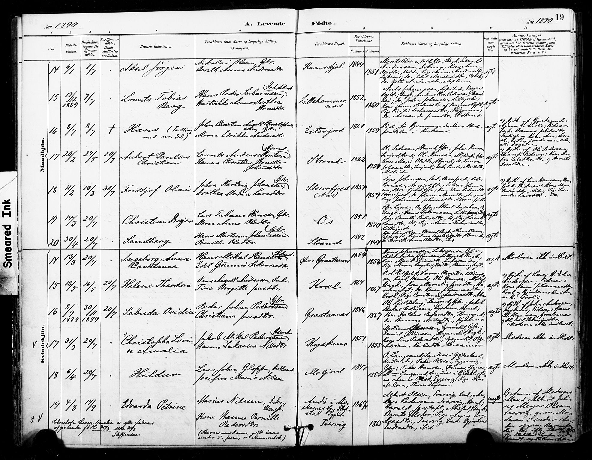 Ministerialprotokoller, klokkerbøker og fødselsregistre - Nordland, AV/SAT-A-1459/846/L0646: Ministerialbok nr. 846A04, 1887-1901, s. 19