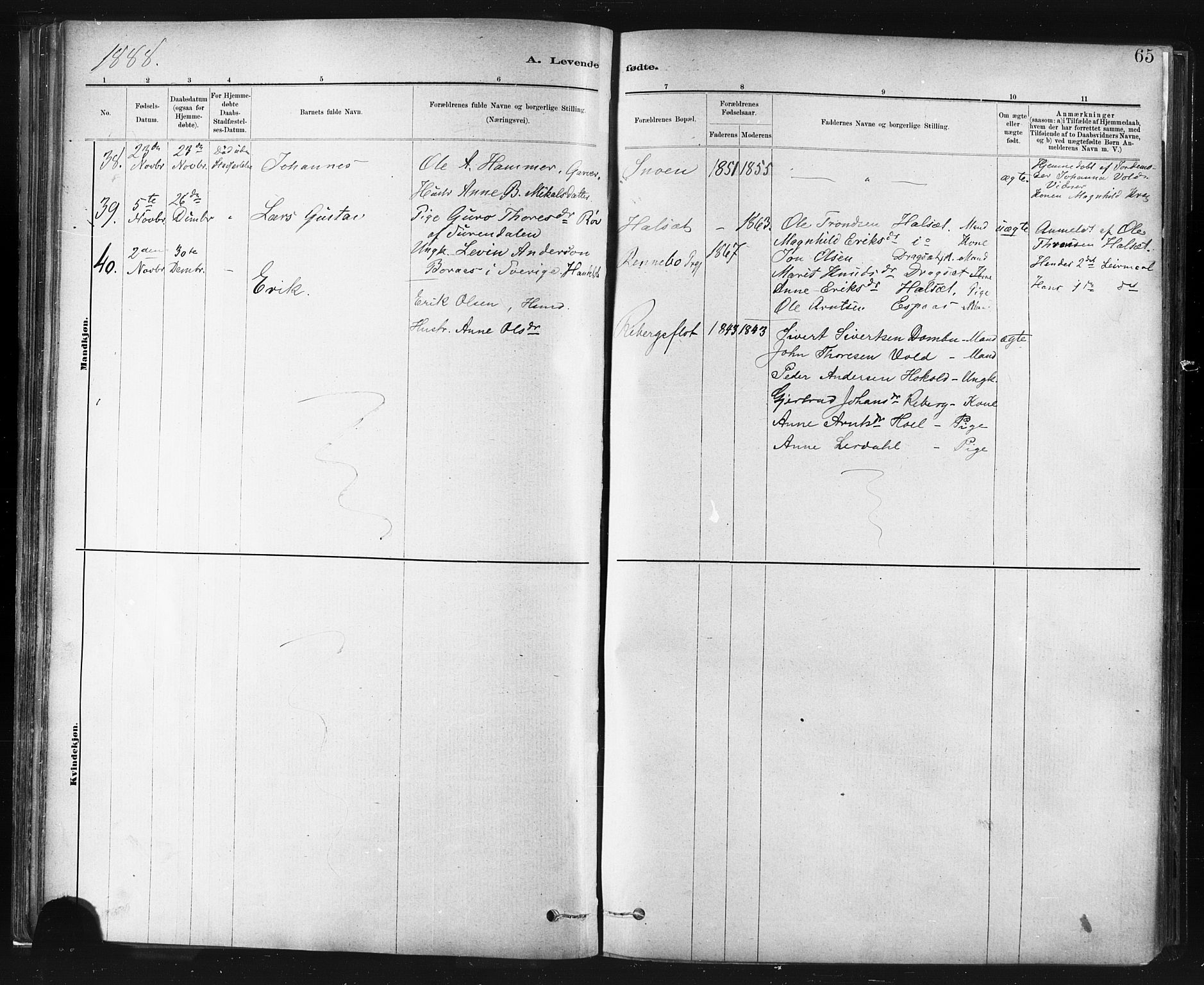 Ministerialprotokoller, klokkerbøker og fødselsregistre - Sør-Trøndelag, SAT/A-1456/672/L0857: Ministerialbok nr. 672A09, 1882-1893, s. 65