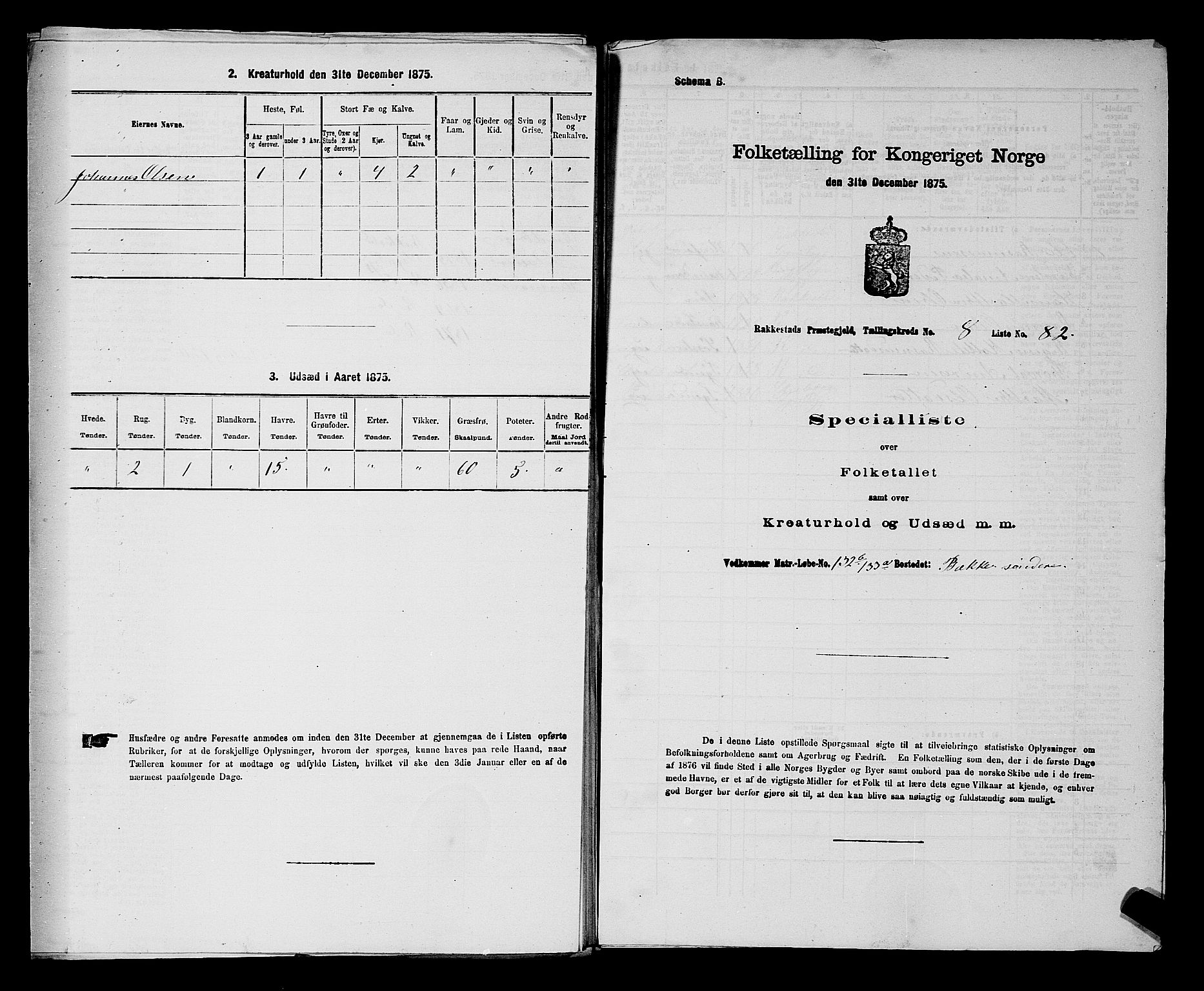 RA, Folketelling 1875 for 0128P Rakkestad prestegjeld, 1875, s. 1095