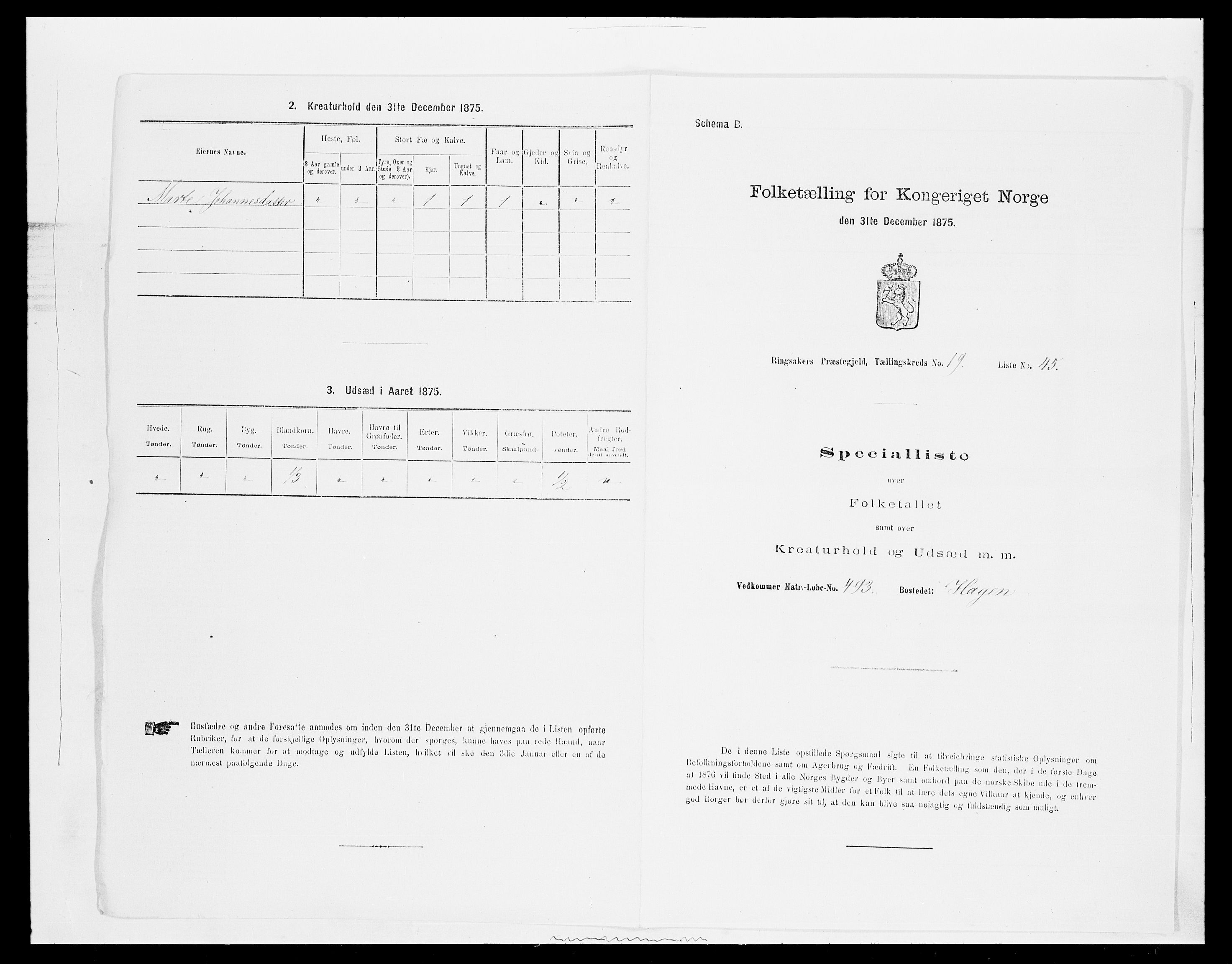 SAH, Folketelling 1875 for 0412P Ringsaker prestegjeld, 1875, s. 3823