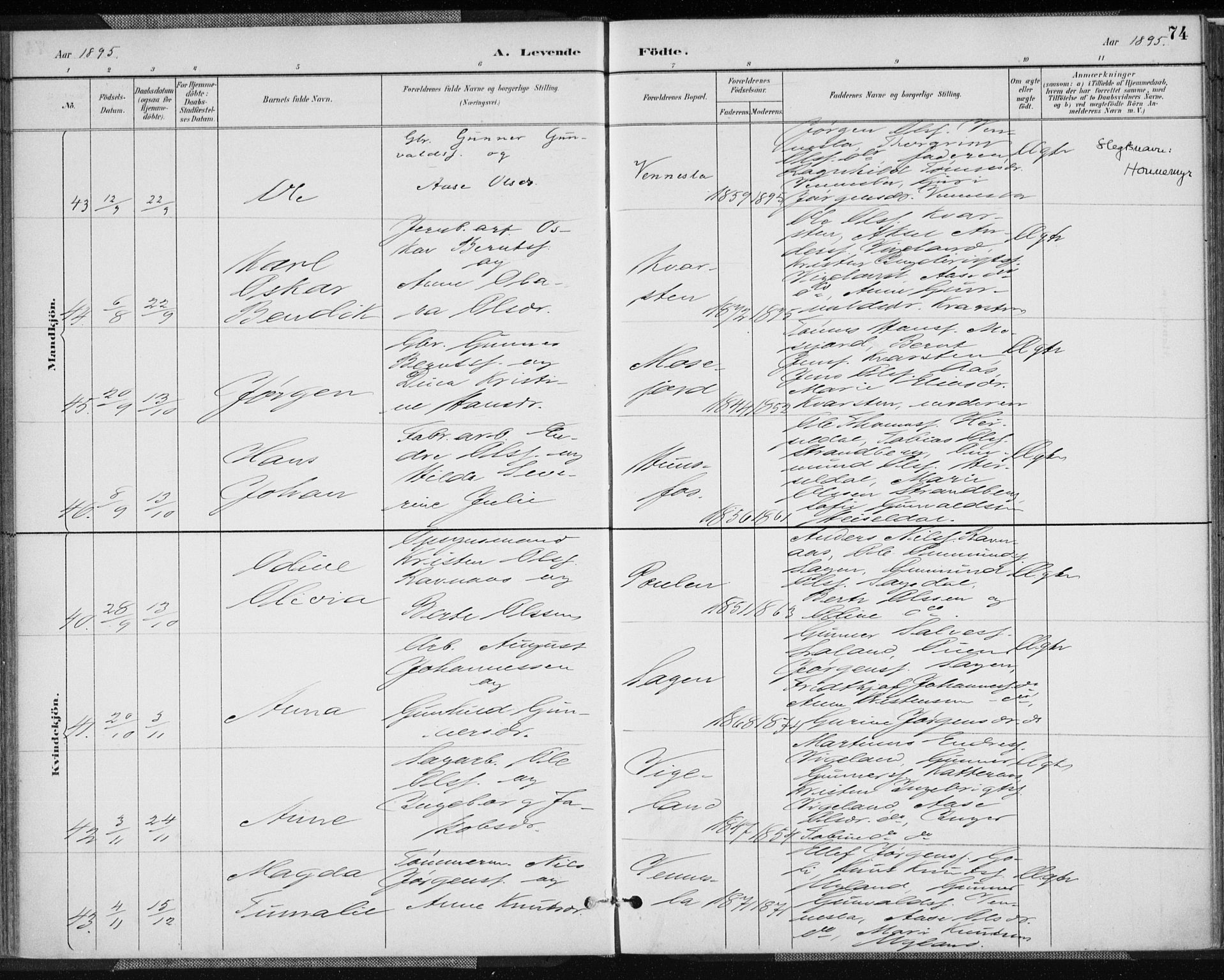 Vennesla sokneprestkontor, AV/SAK-1111-0045/Fa/Fab/L0004: Ministerialbok nr. A 4, 1884-1896, s. 74