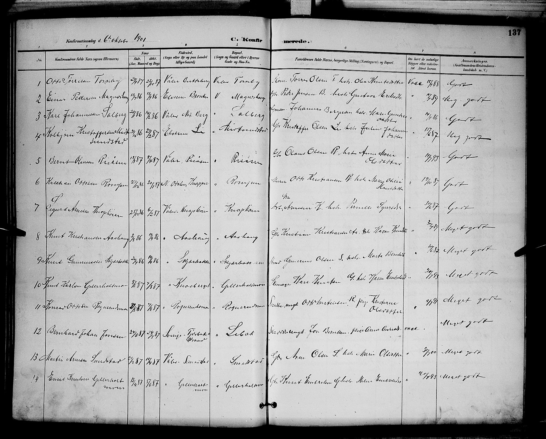 Våler prestekontor, Hedmark, AV/SAH-PREST-040/H/Ha/Hab/L0001: Klokkerbok nr. 1, 1894-1904, s. 137