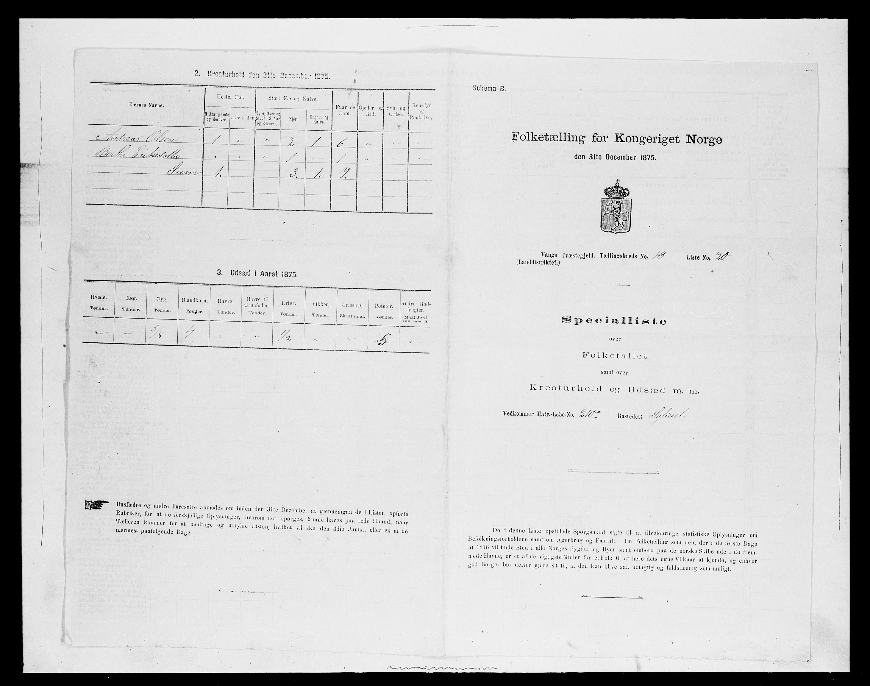 SAH, Folketelling 1875 for 0414L Vang prestegjeld, Vang sokn og Furnes sokn, 1875, s. 2870