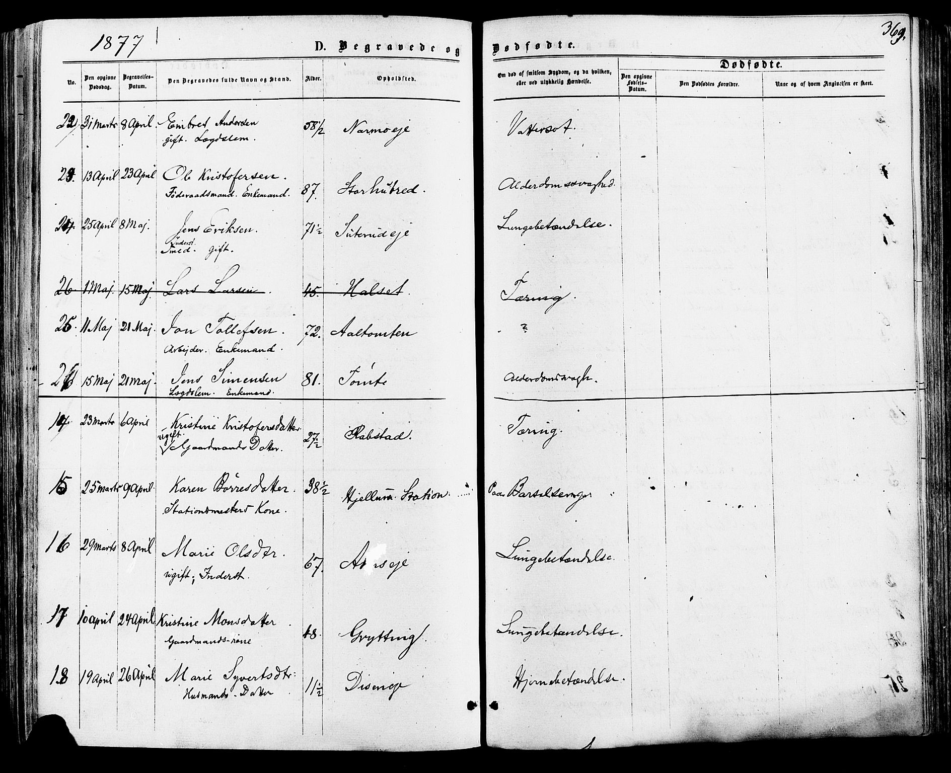 Vang prestekontor, Hedmark, AV/SAH-PREST-008/H/Ha/Haa/L0015: Ministerialbok nr. 15, 1871-1885, s. 369