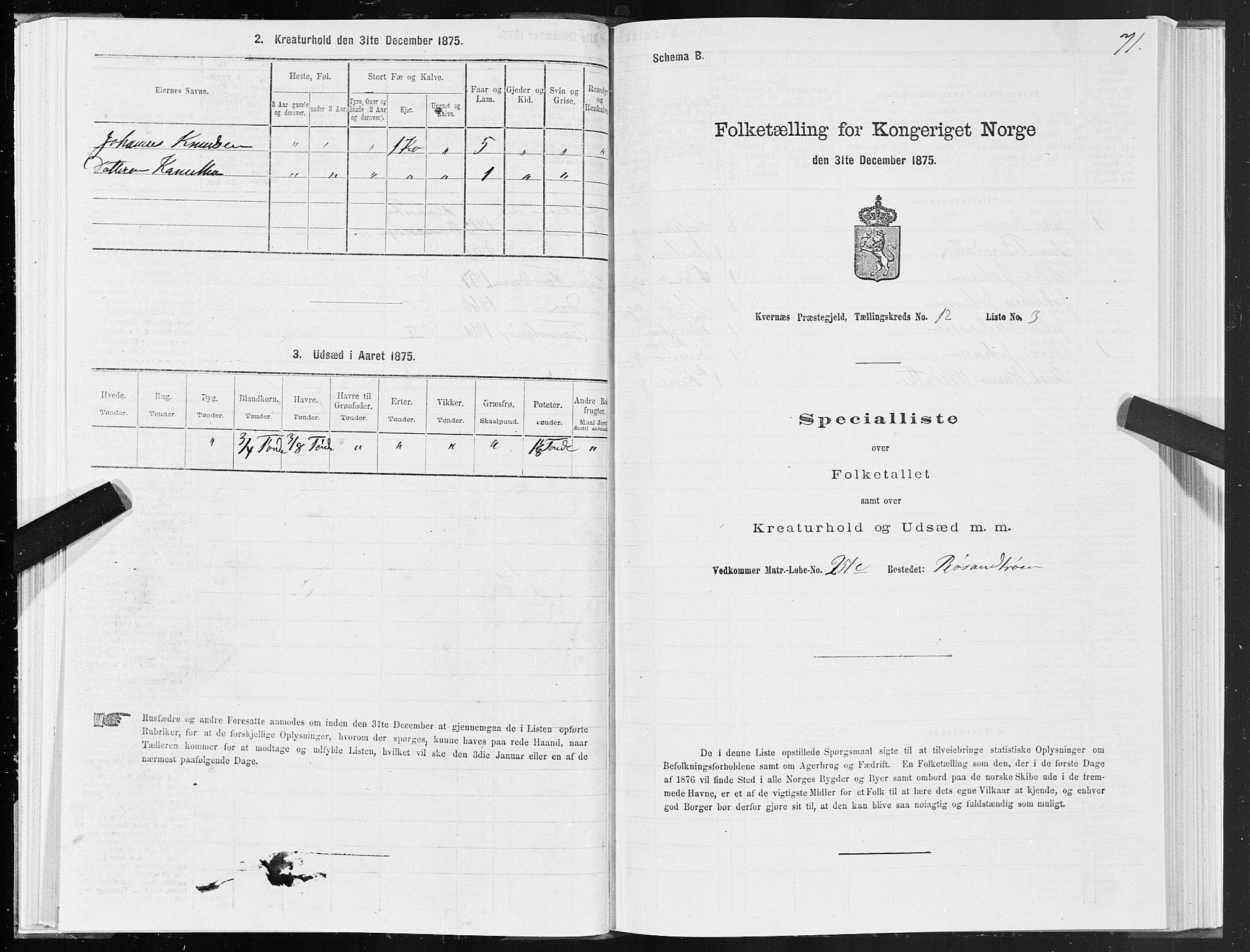 SAT, Folketelling 1875 for 1553P Kvernes prestegjeld, 1875, s. 6071