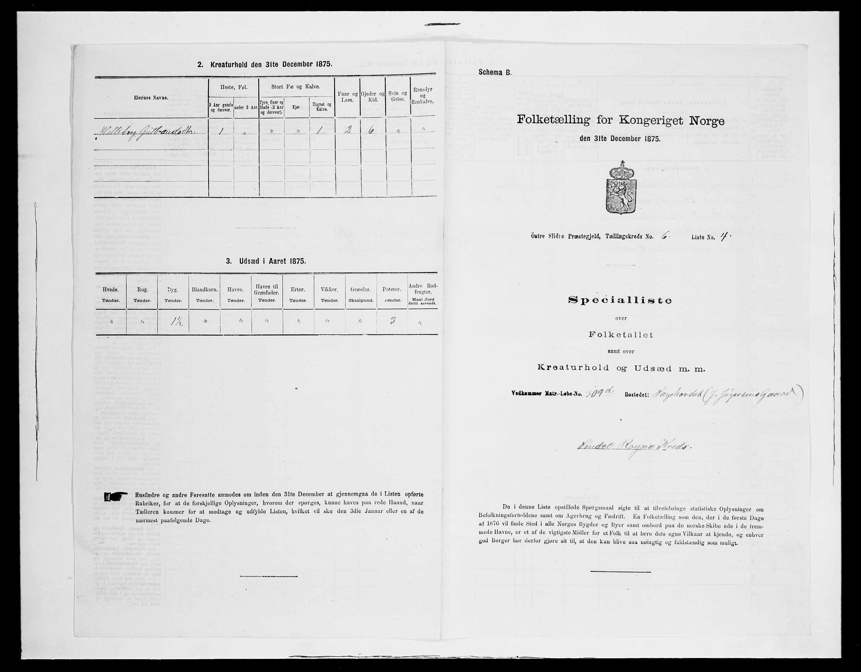 SAH, Folketelling 1875 for 0544P Øystre Slidre prestegjeld, 1875, s. 698