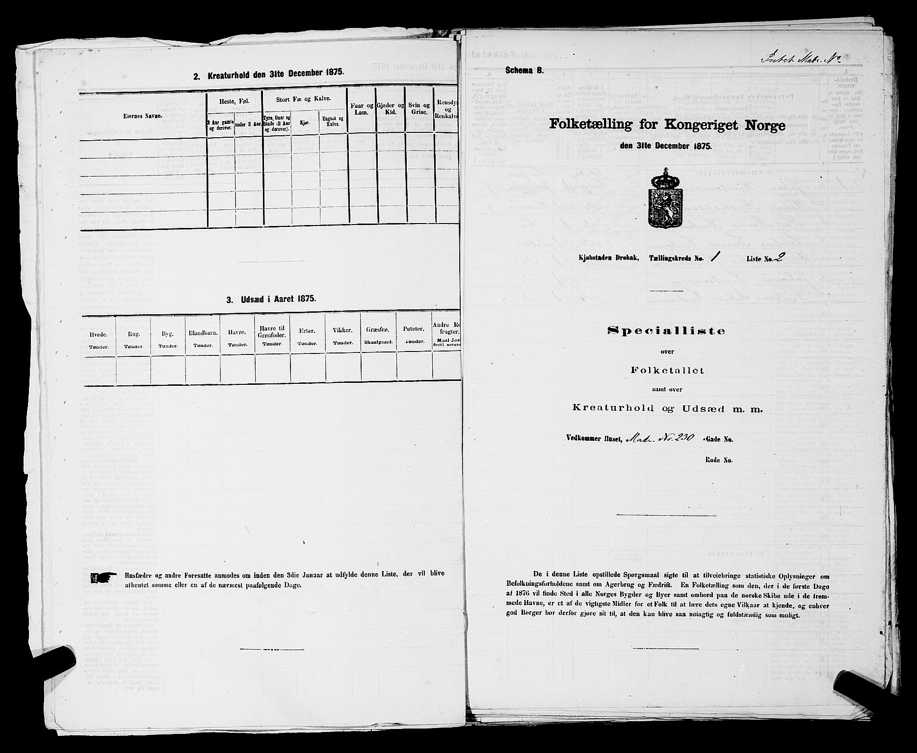 RA, Folketelling 1875 for 0203B Drøbak prestegjeld, Drøbak kjøpstad, 1875, s. 12