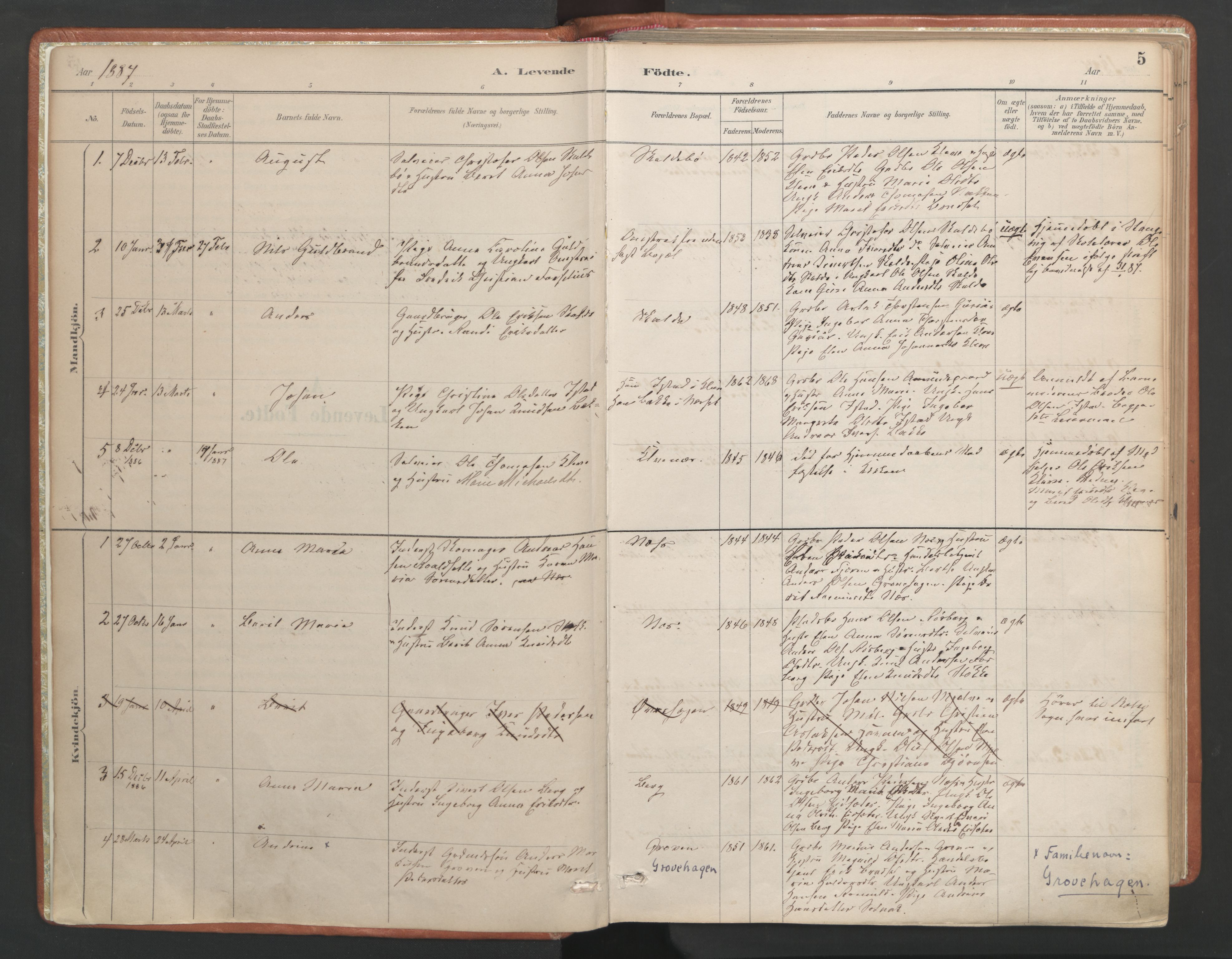 Ministerialprotokoller, klokkerbøker og fødselsregistre - Møre og Romsdal, AV/SAT-A-1454/557/L0682: Ministerialbok nr. 557A04, 1887-1970, s. 5