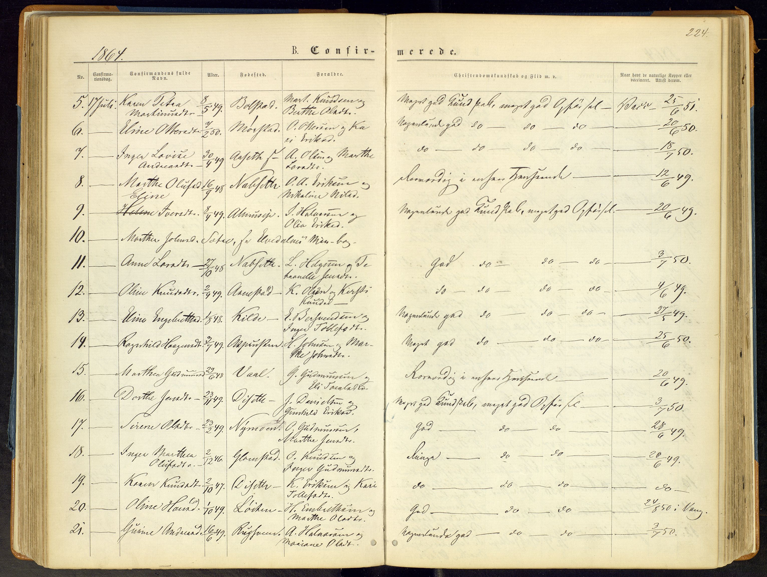 Åmot prestekontor, Hedmark, SAH/PREST-056/H/Ha/Haa/L0008: Ministerialbok nr. 8, 1862-1875, s. 224