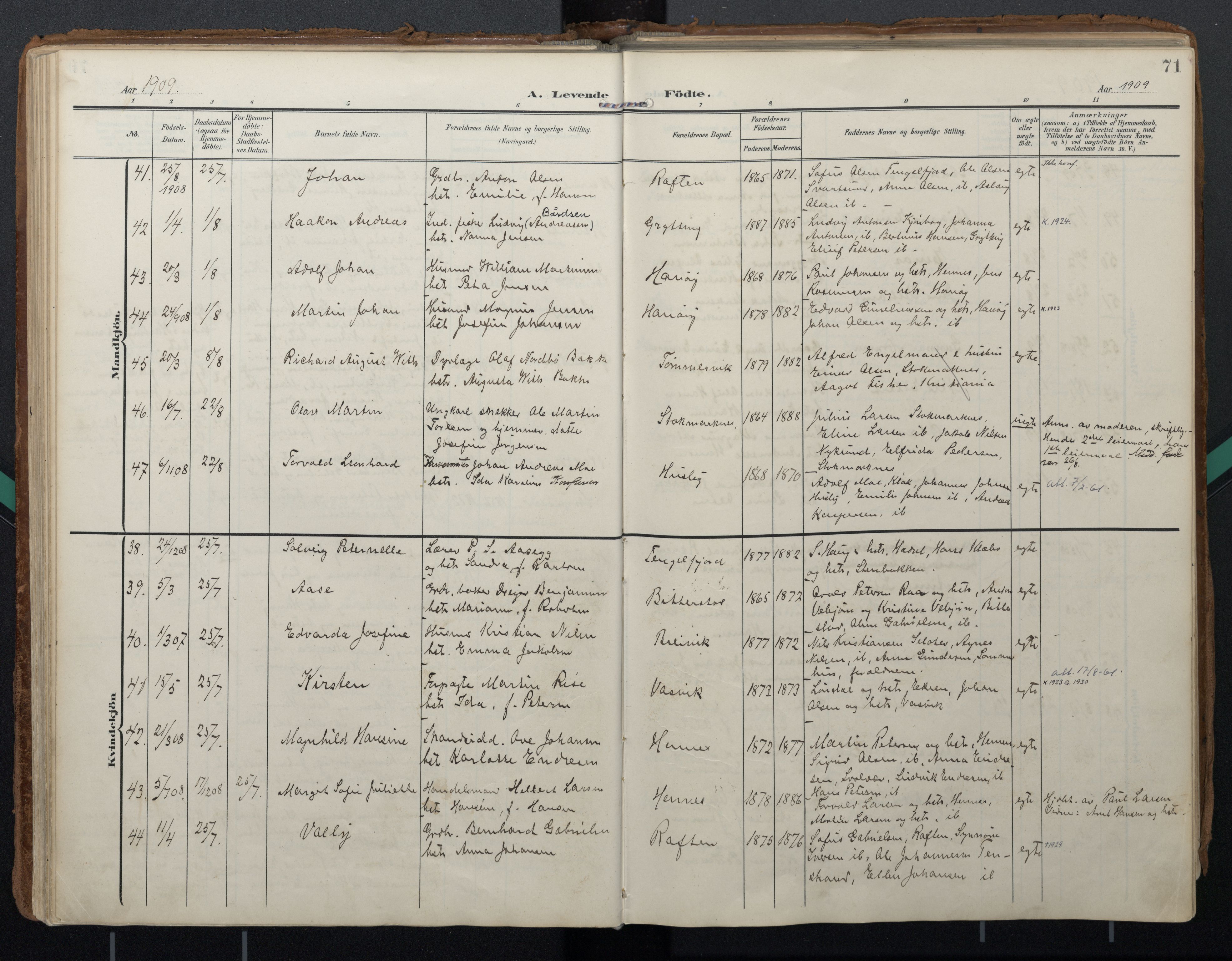 Ministerialprotokoller, klokkerbøker og fødselsregistre - Nordland, AV/SAT-A-1459/888/L1248: Ministerialbok nr. 888A14, 1904-1913, s. 71