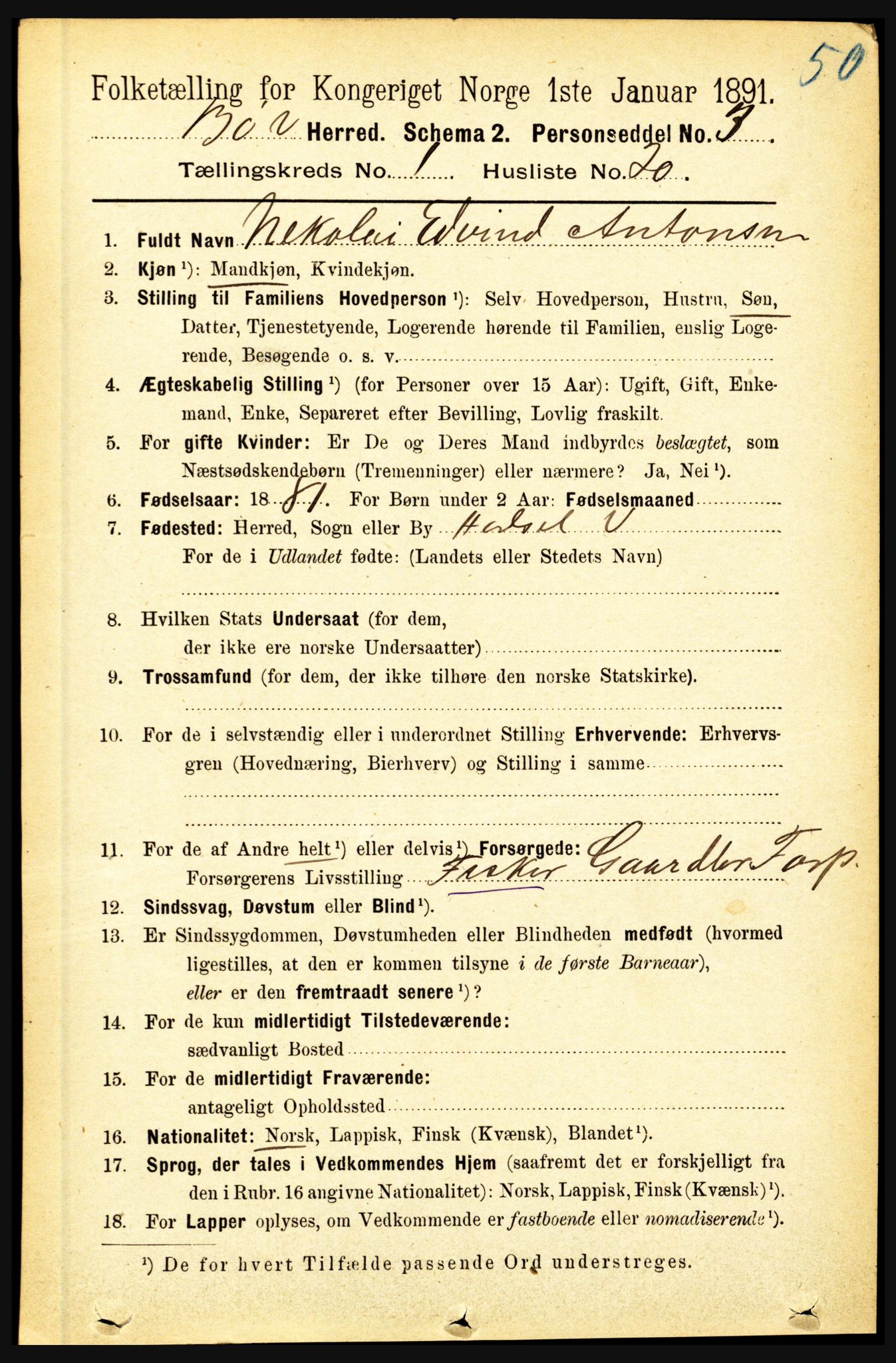 RA, Folketelling 1891 for 1867 Bø herred, 1891, s. 245