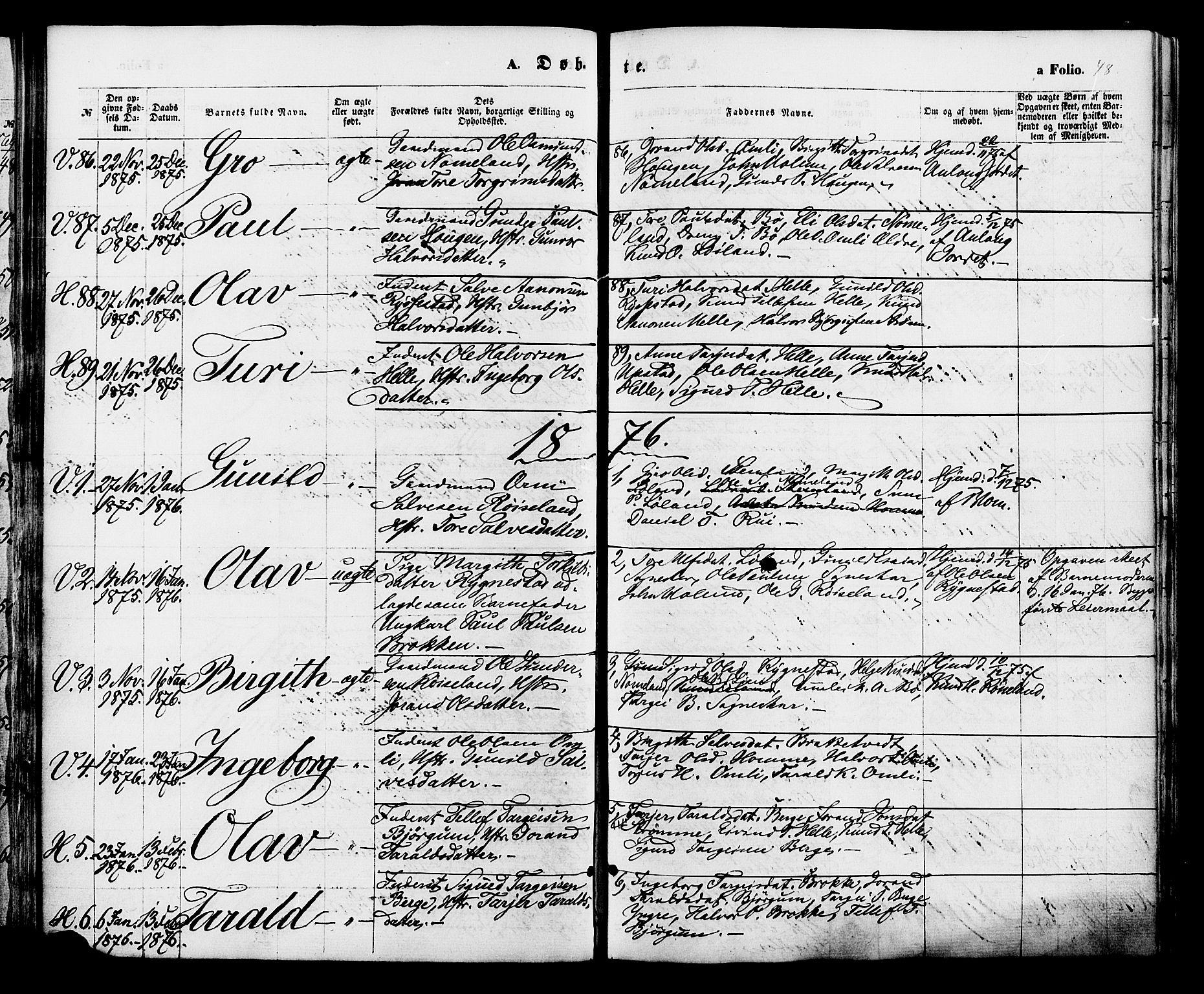Valle sokneprestkontor, AV/SAK-1111-0044/F/Fa/Fac/L0008: Ministerialbok nr. A 8, 1868-1882, s. 48