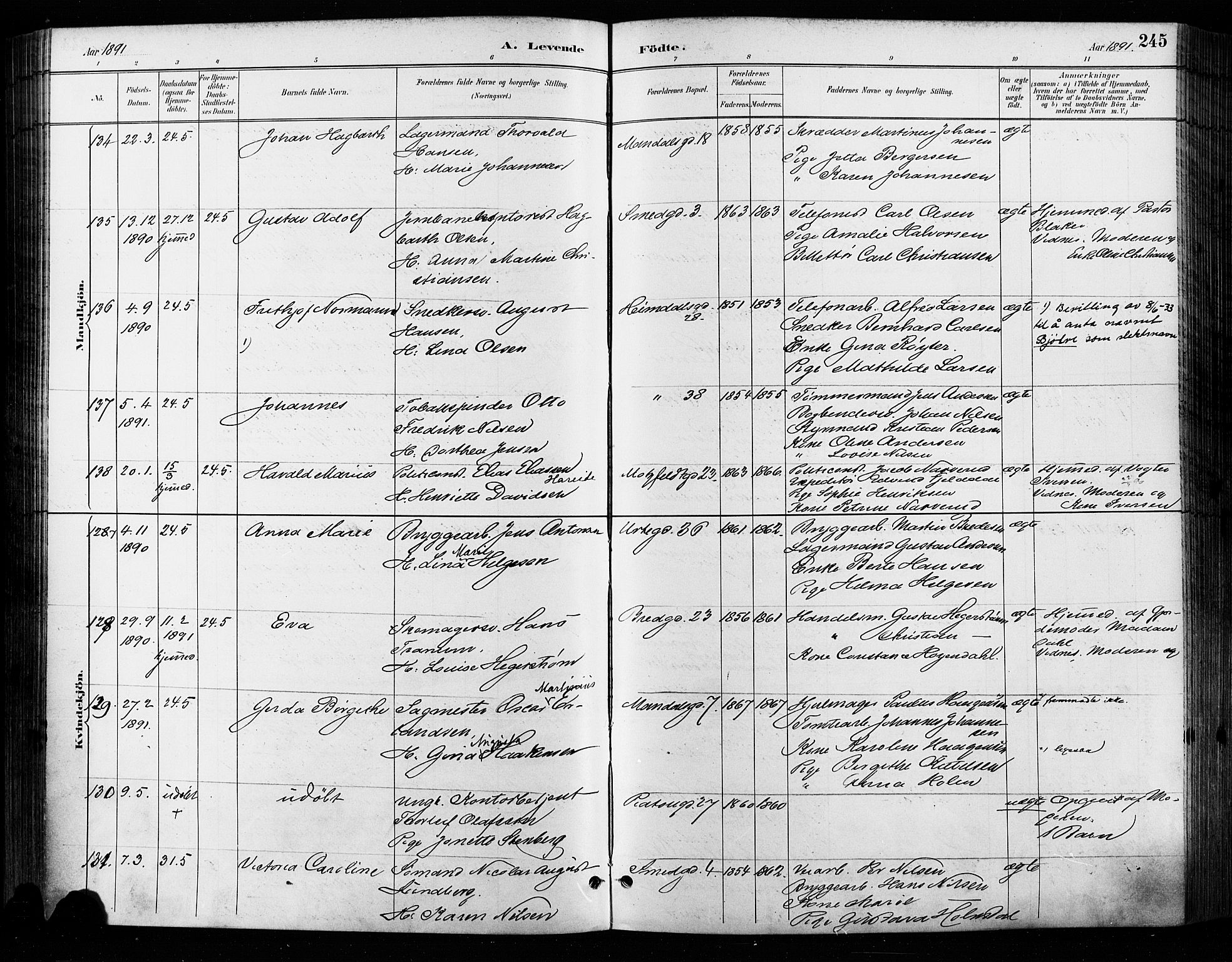 Grønland prestekontor Kirkebøker, SAO/A-10848/F/Fa/L0009: Ministerialbok nr. 9, 1888-1893, s. 245