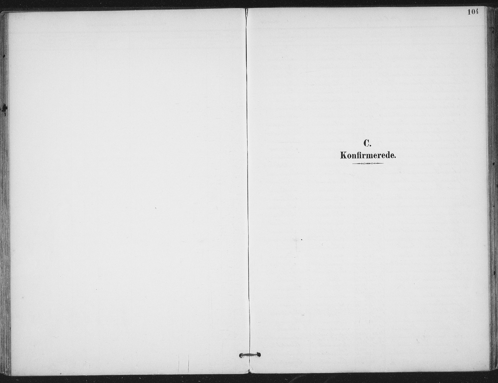 Ministerialprotokoller, klokkerbøker og fødselsregistre - Nord-Trøndelag, AV/SAT-A-1458/703/L0031: Ministerialbok nr. 703A04, 1893-1914, s. 104