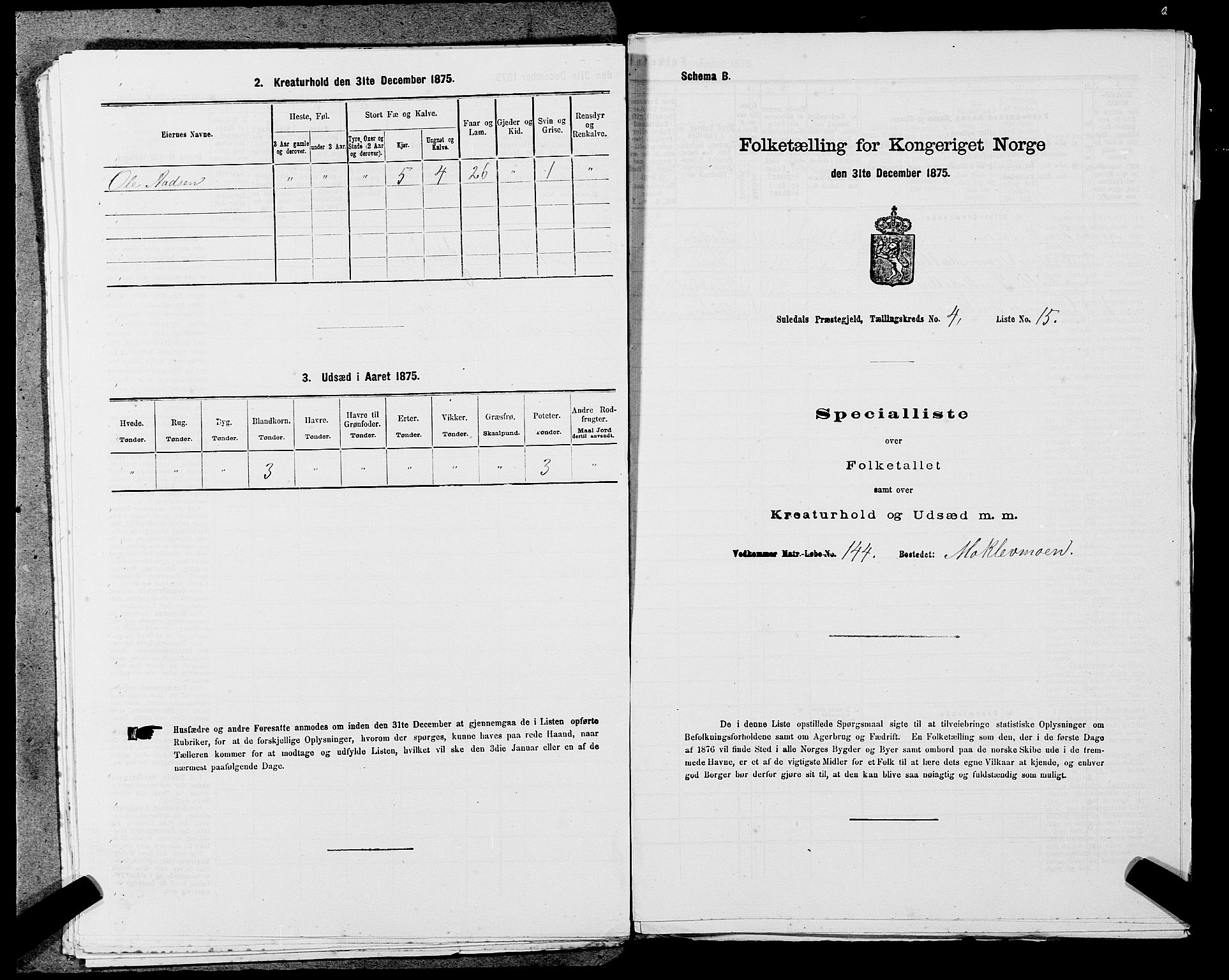 SAST, Folketelling 1875 for 1134P Suldal prestegjeld, 1875, s. 529