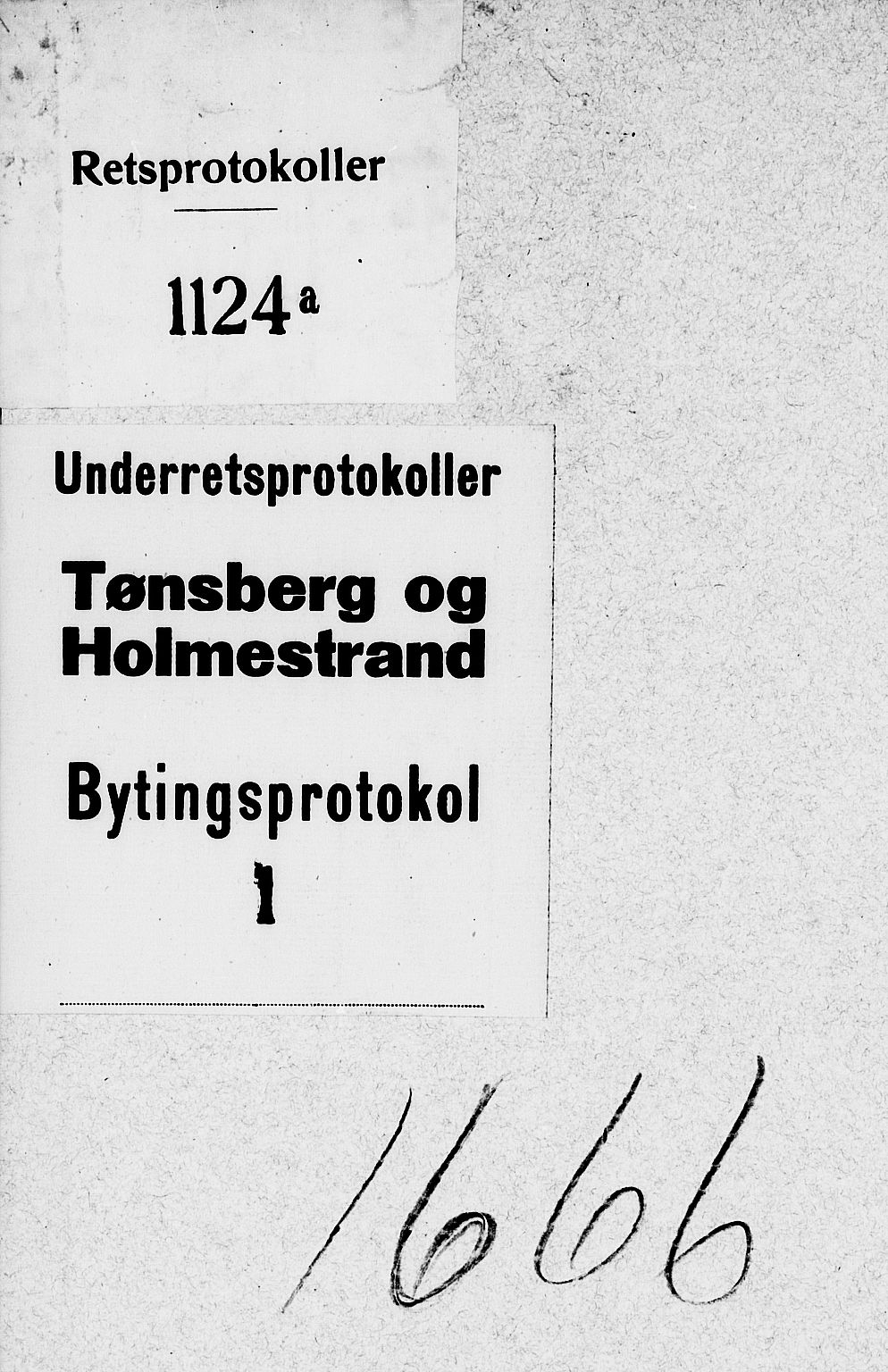 Tønsberg byfogd, SAKO/A-224/F/Fa/L0001/0002: Tingbok / Tingbok, 1666-1669
