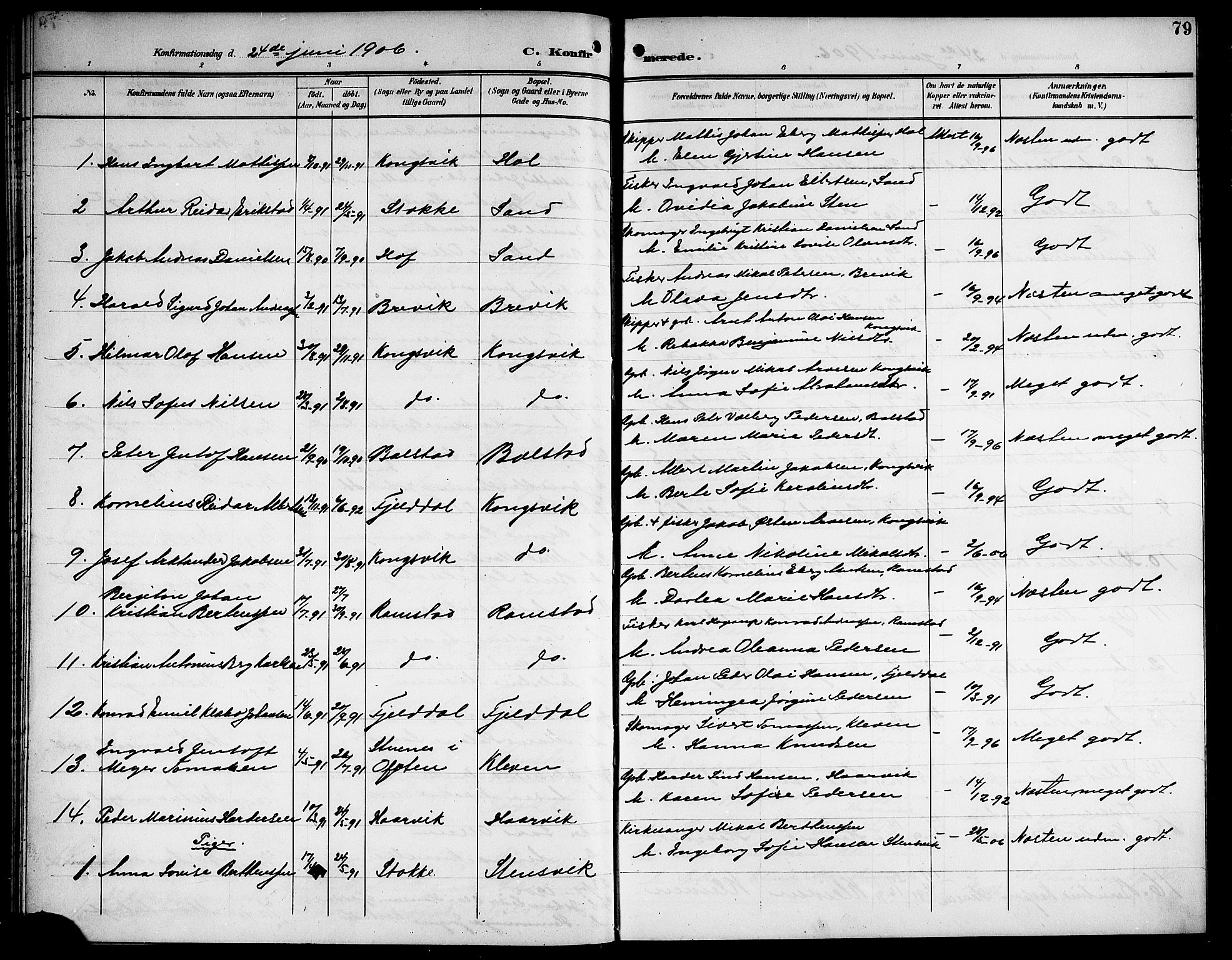 Ministerialprotokoller, klokkerbøker og fødselsregistre - Nordland, AV/SAT-A-1459/865/L0932: Klokkerbok nr. 865C04, 1901-1917, s. 79