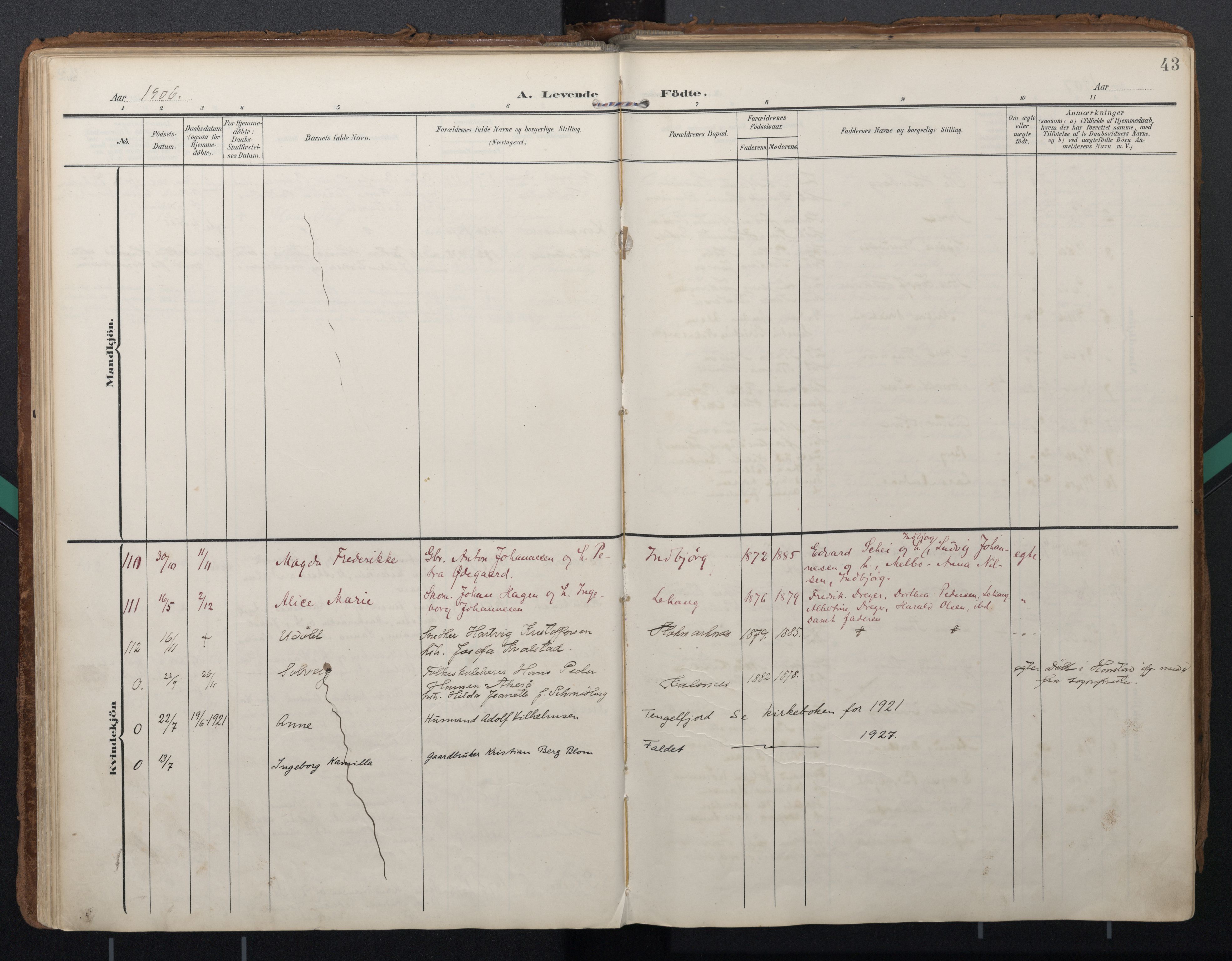 Ministerialprotokoller, klokkerbøker og fødselsregistre - Nordland, AV/SAT-A-1459/888/L1248: Ministerialbok nr. 888A14, 1904-1913, s. 43