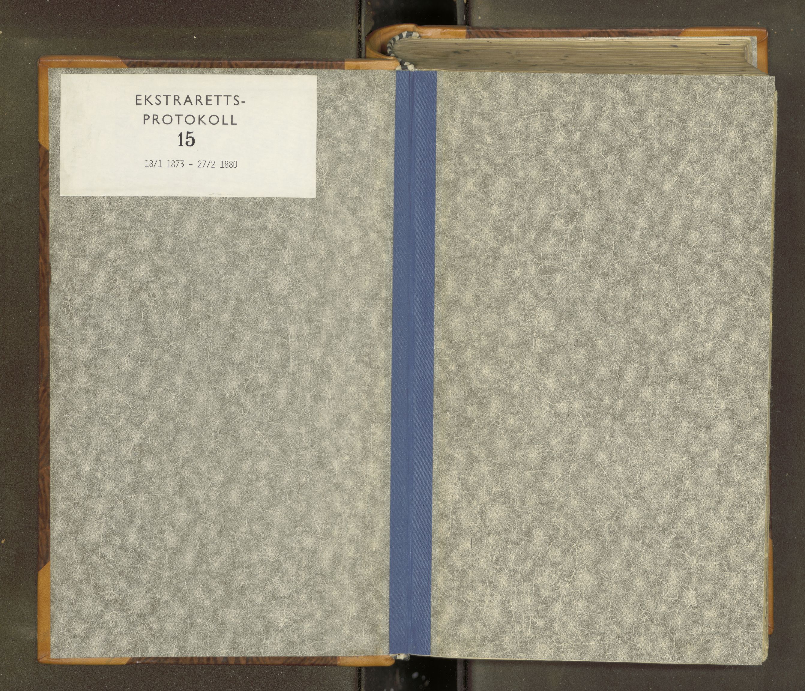 Vesterålen sorenskriveri, SAT/A-4180/1/1/1B/L0015: Ekstrarettsprotokoll, 1873-1880